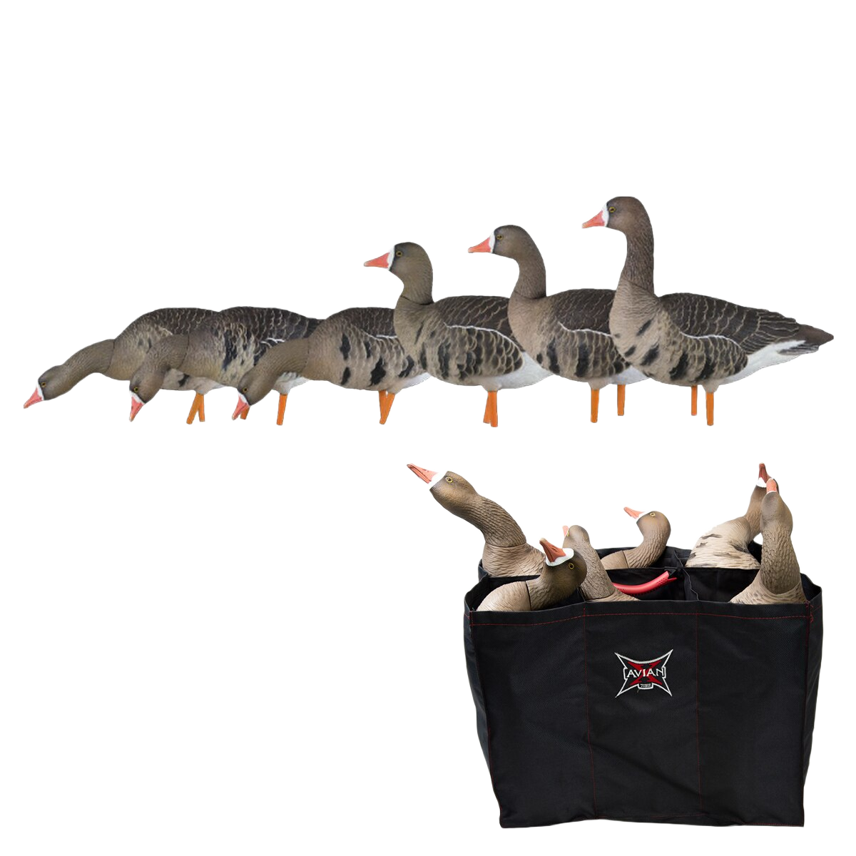 Image of Avian-X Fully Flocked Specklebelly AXF Fusion Decoys 6 pack w/ 6 Slot Bag