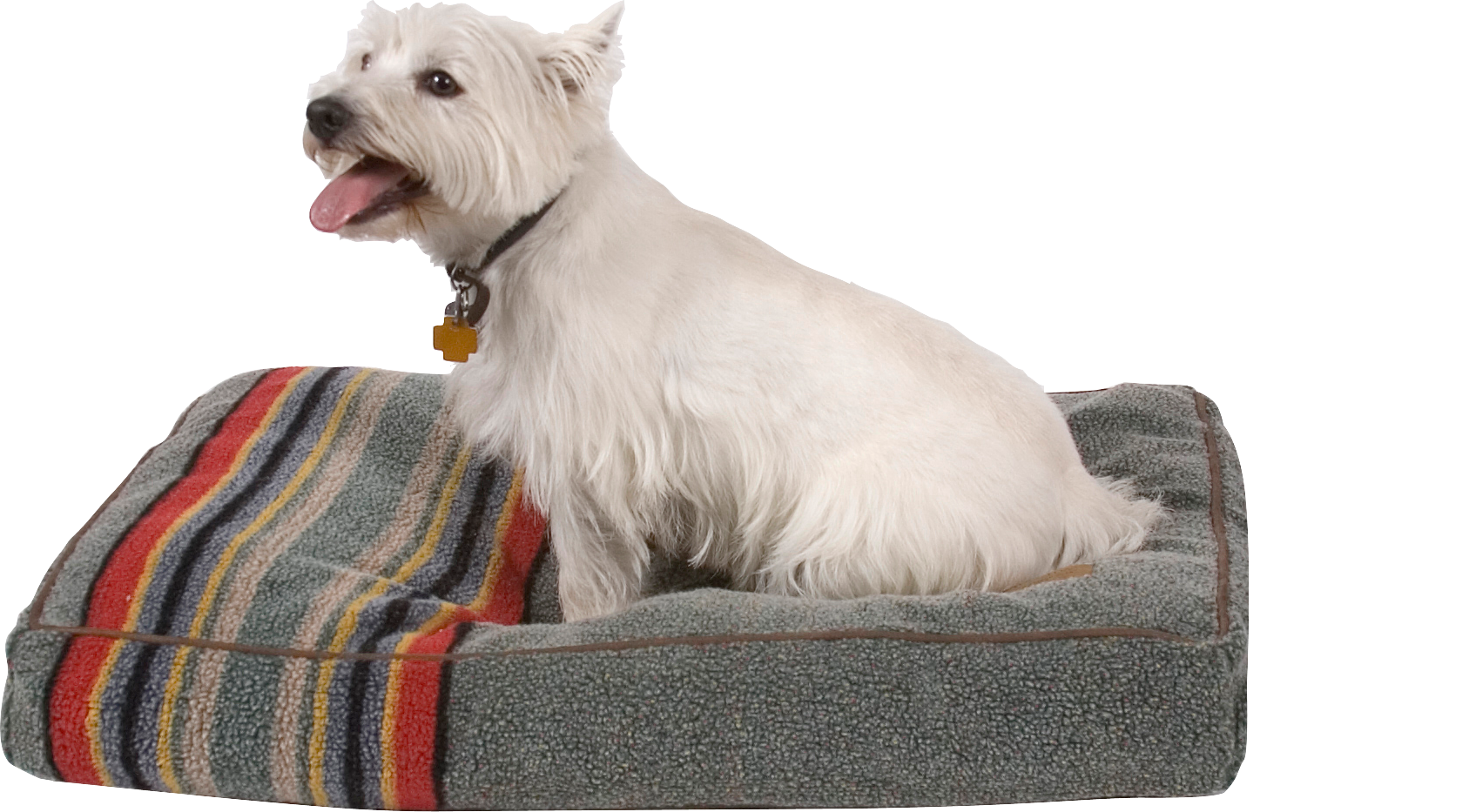 Pendleton Yakima Camp Petnapper - Green - Medium - Pendleton