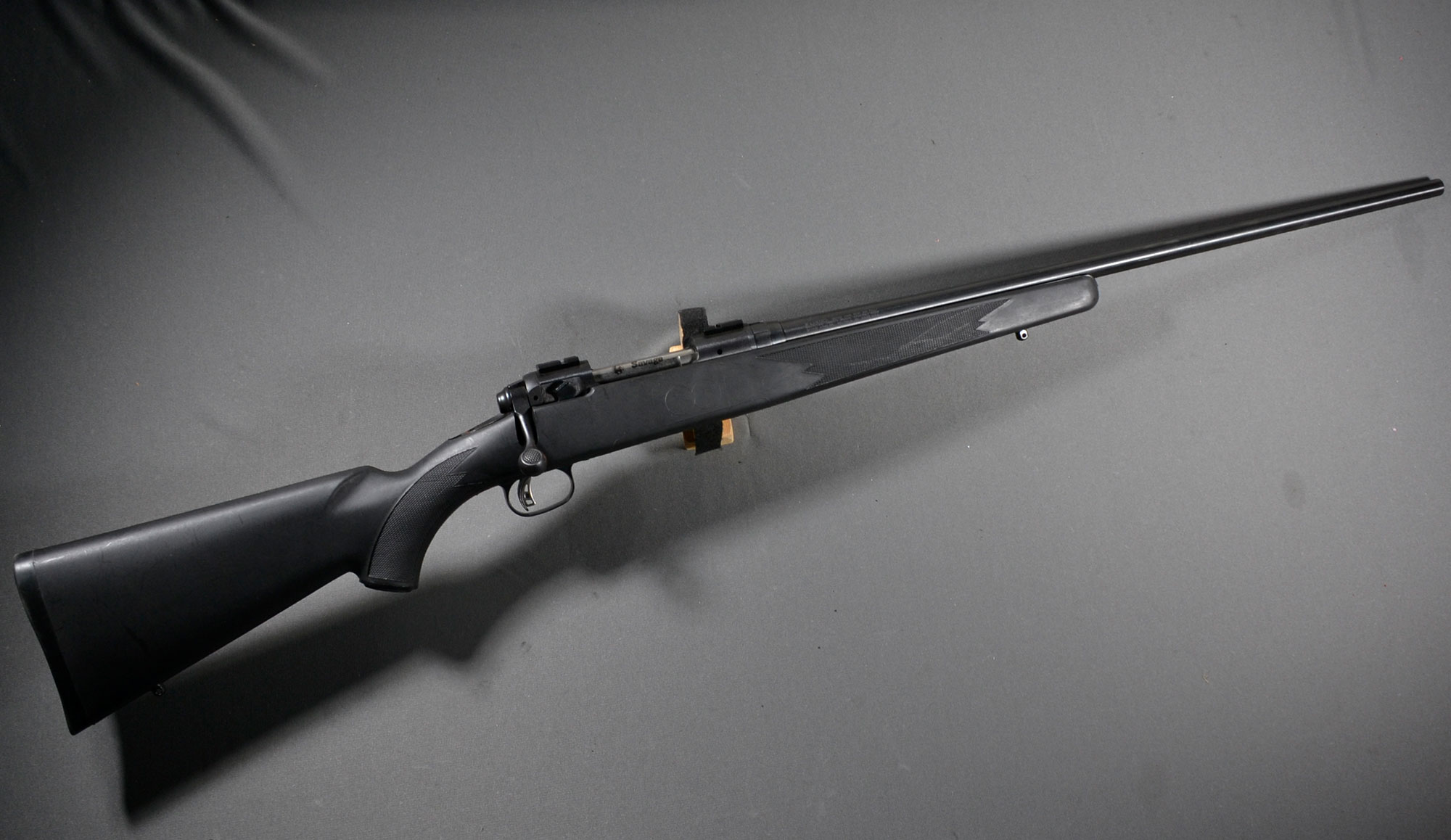 ++SAVAGE 11 .204 RUGER - Savage Arms