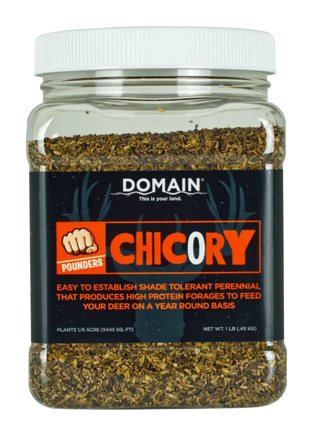 Domain Outdoors Chicory Seed Pounder