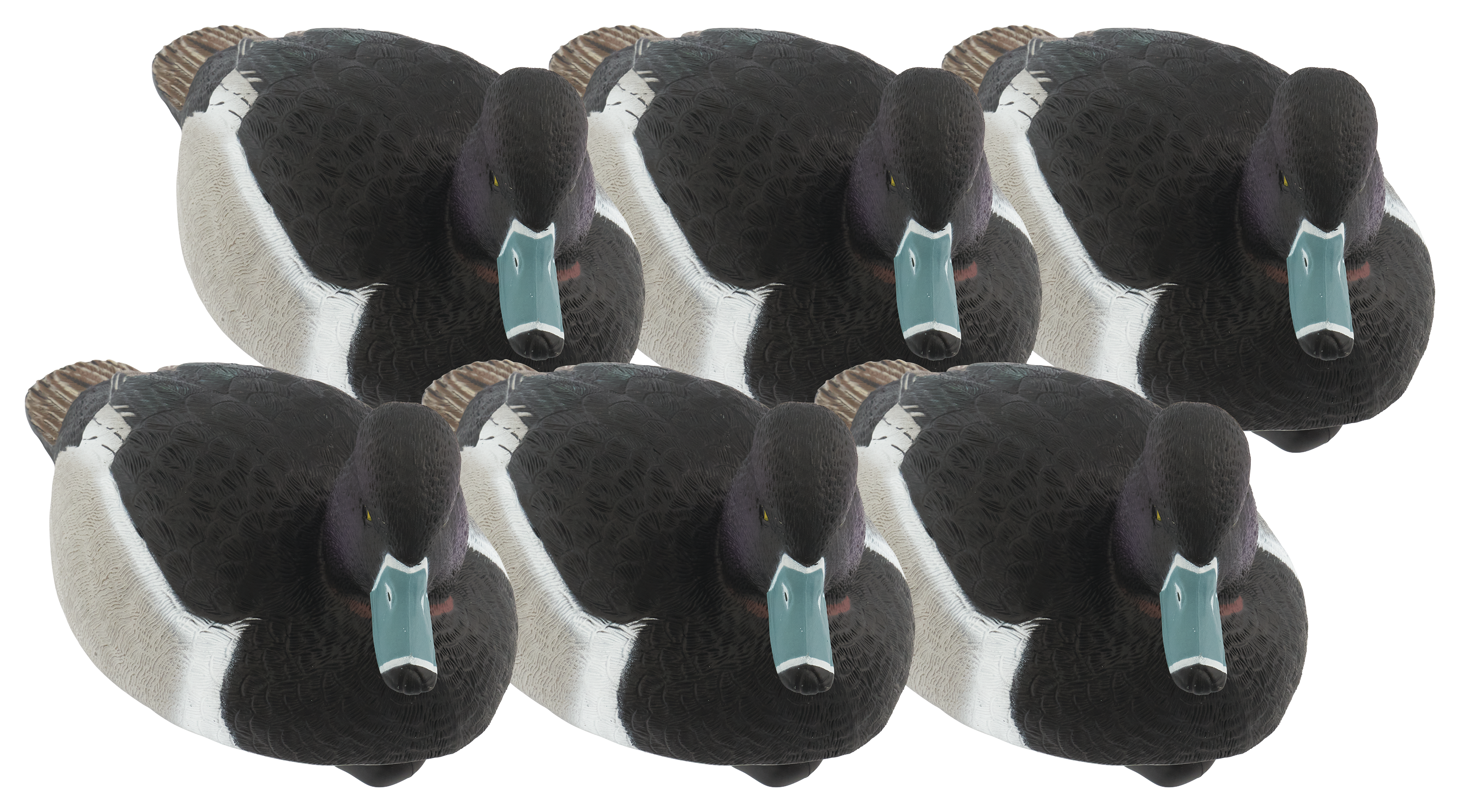 Image of Northern Flight Pro Series Ringneck Duck Decoy 6-Pack