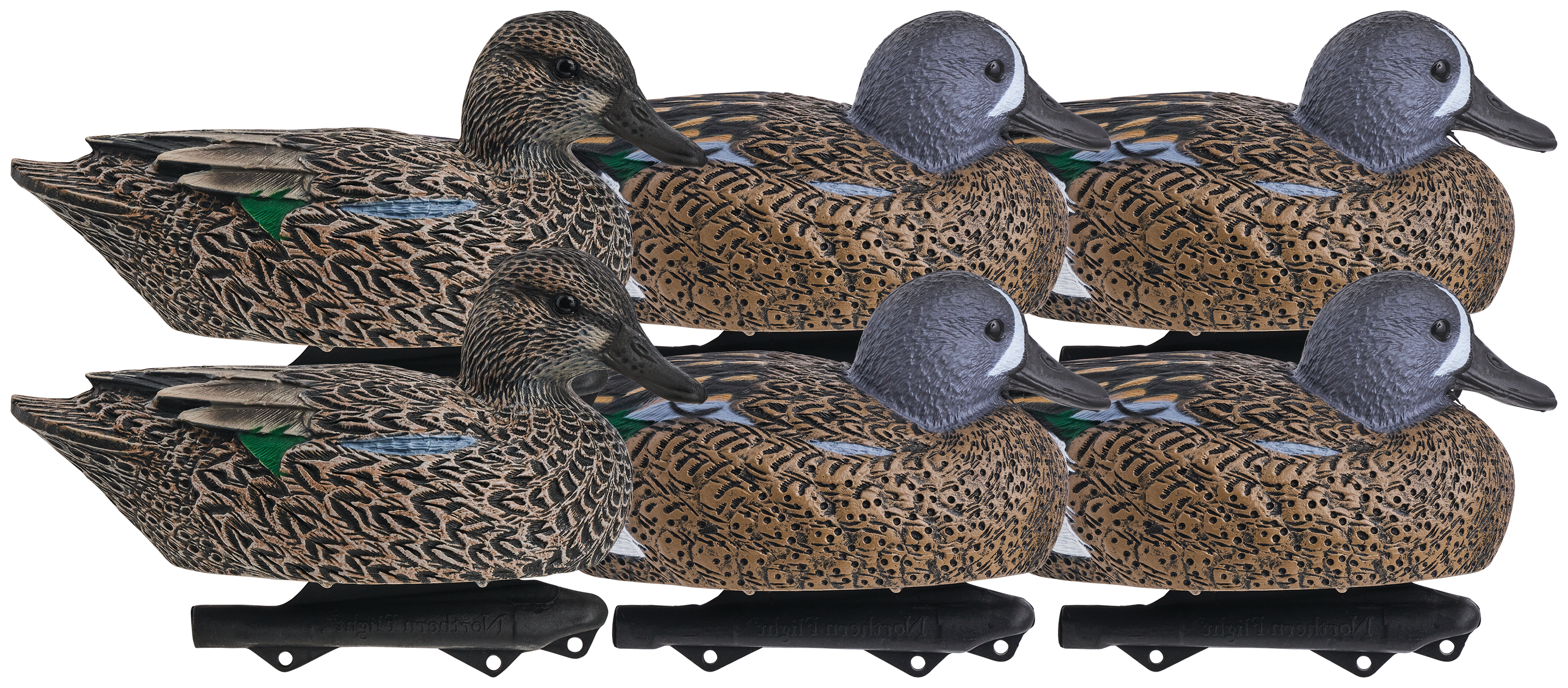 Image of Northern Flight Pro Series Blue-Winged Teal Duck Decoy 6-Pack