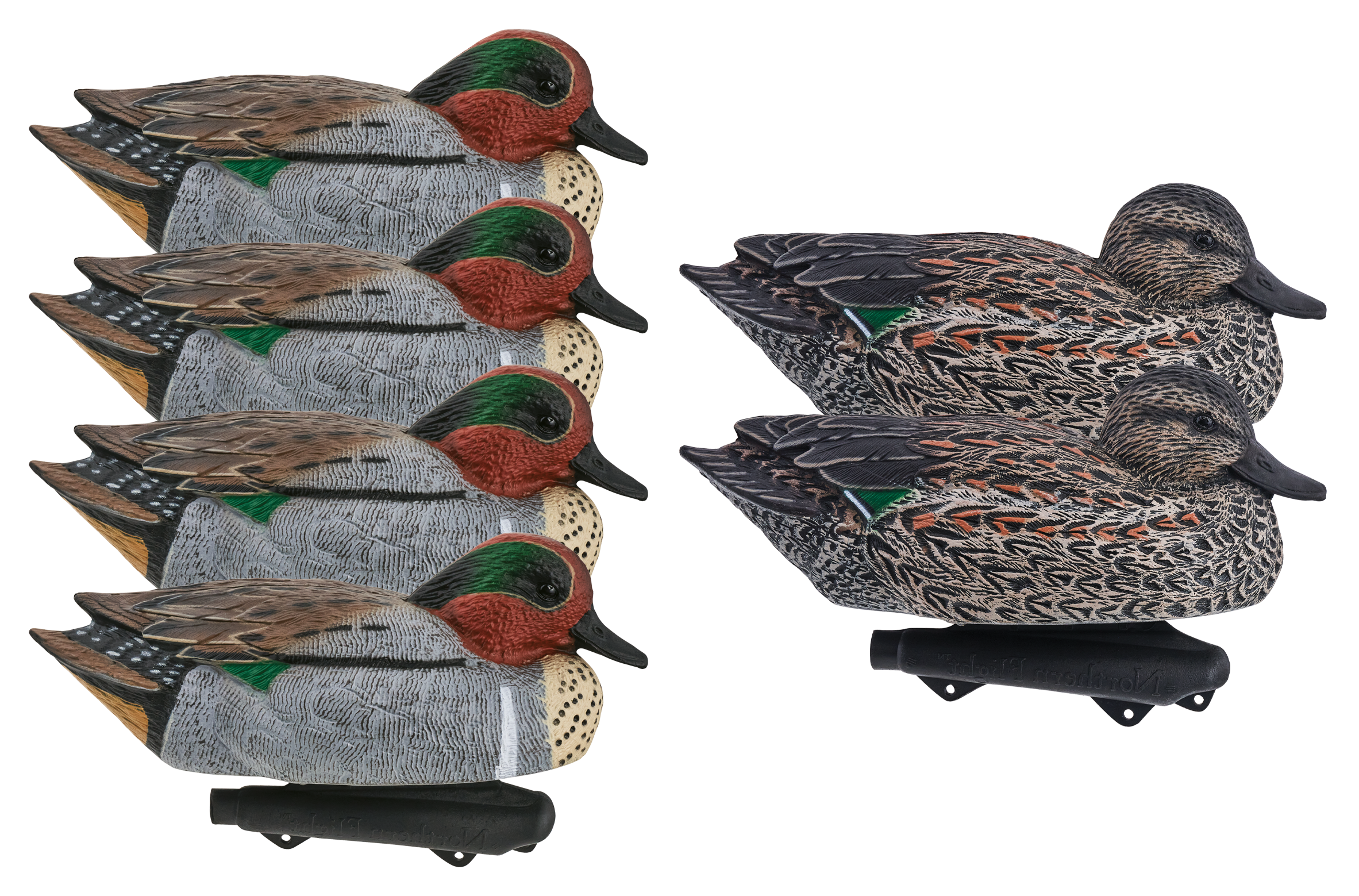 NORTHERN FLIGHT Pro Series Green-Winged Teal Duck Decoys 6-Pack
