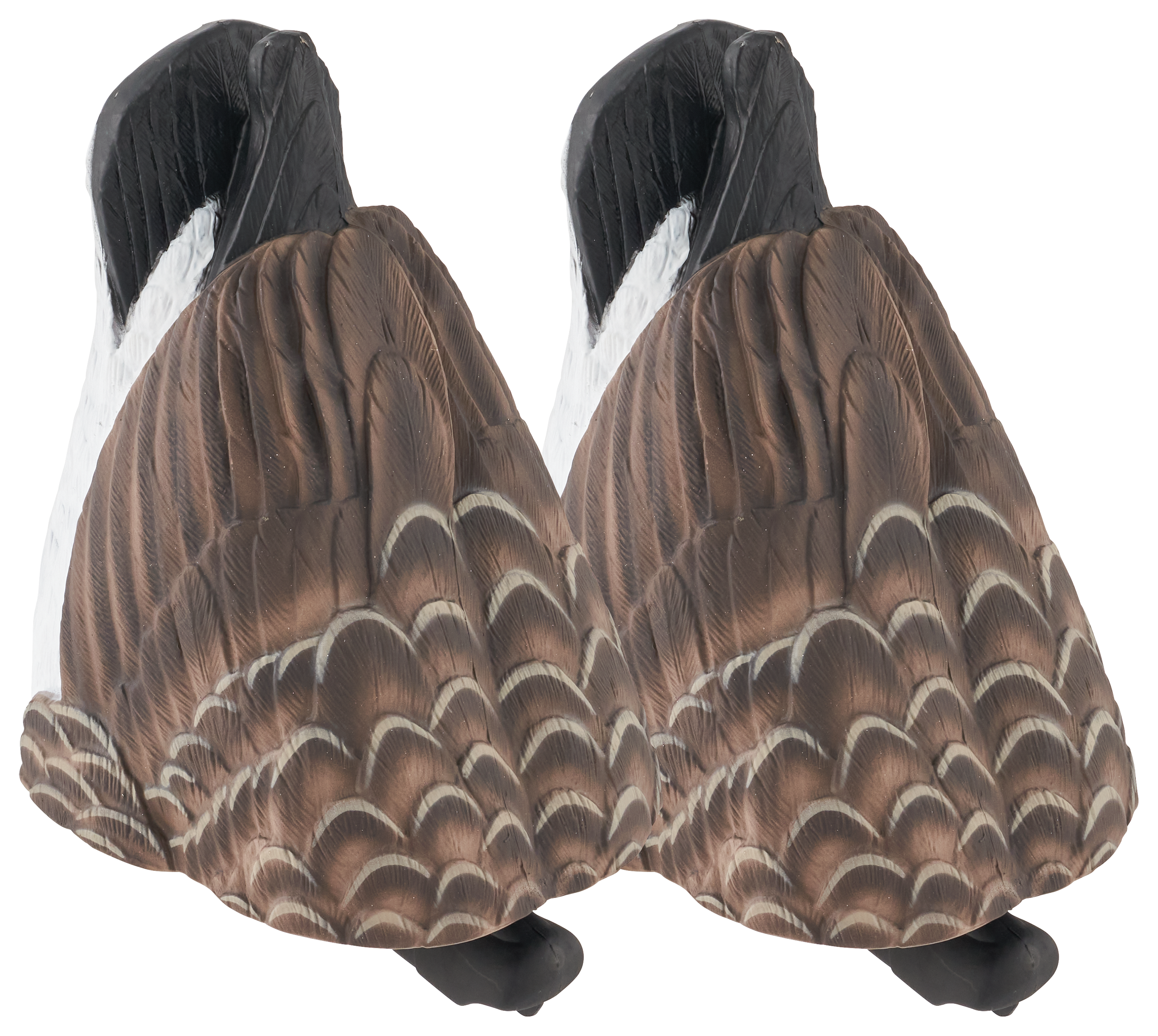 Northern Flight Big Spread Canada Goose Butt Decoy Pack