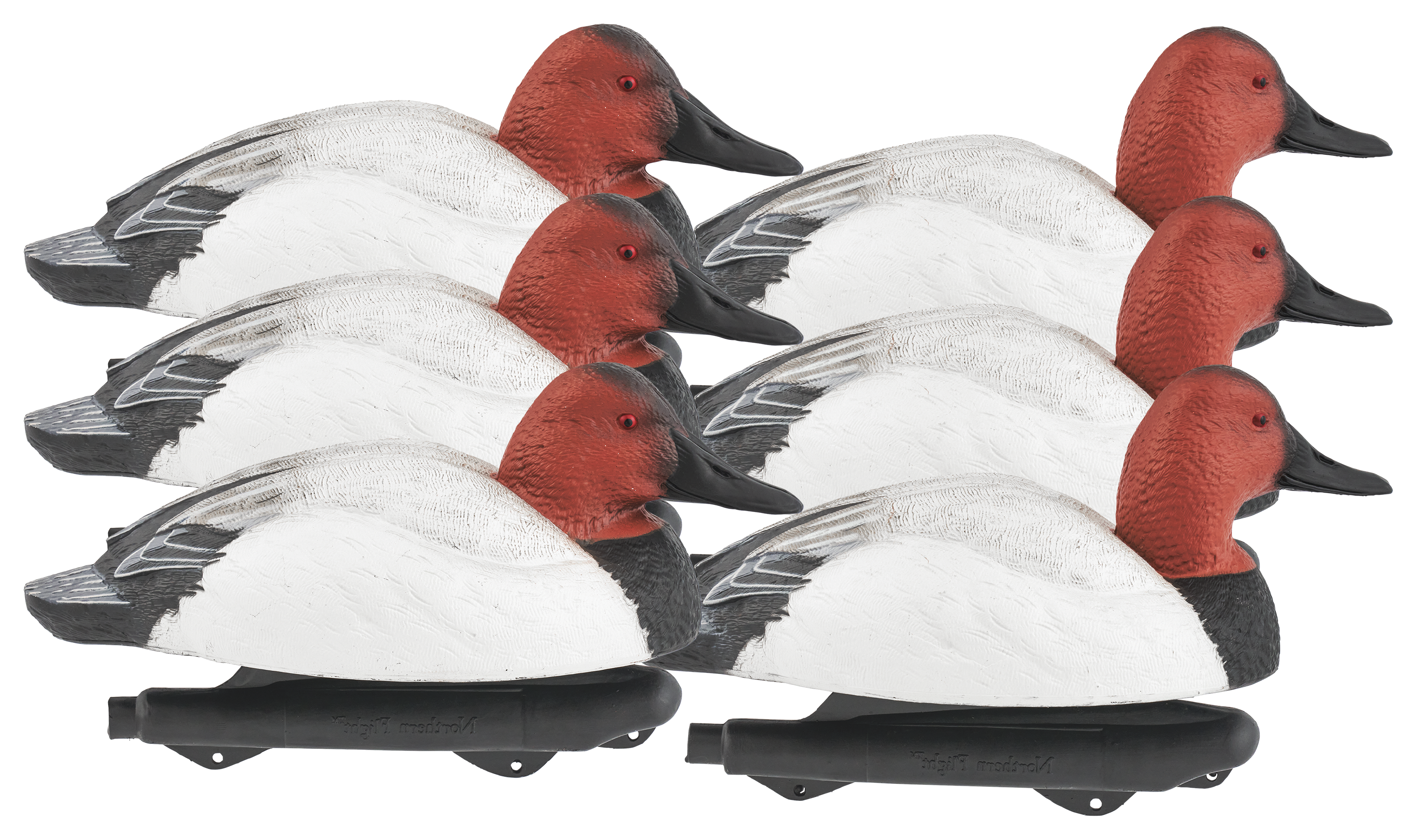 Image of Northern Flight Pro Series Canvasback Duck Decoy 6-Pack
