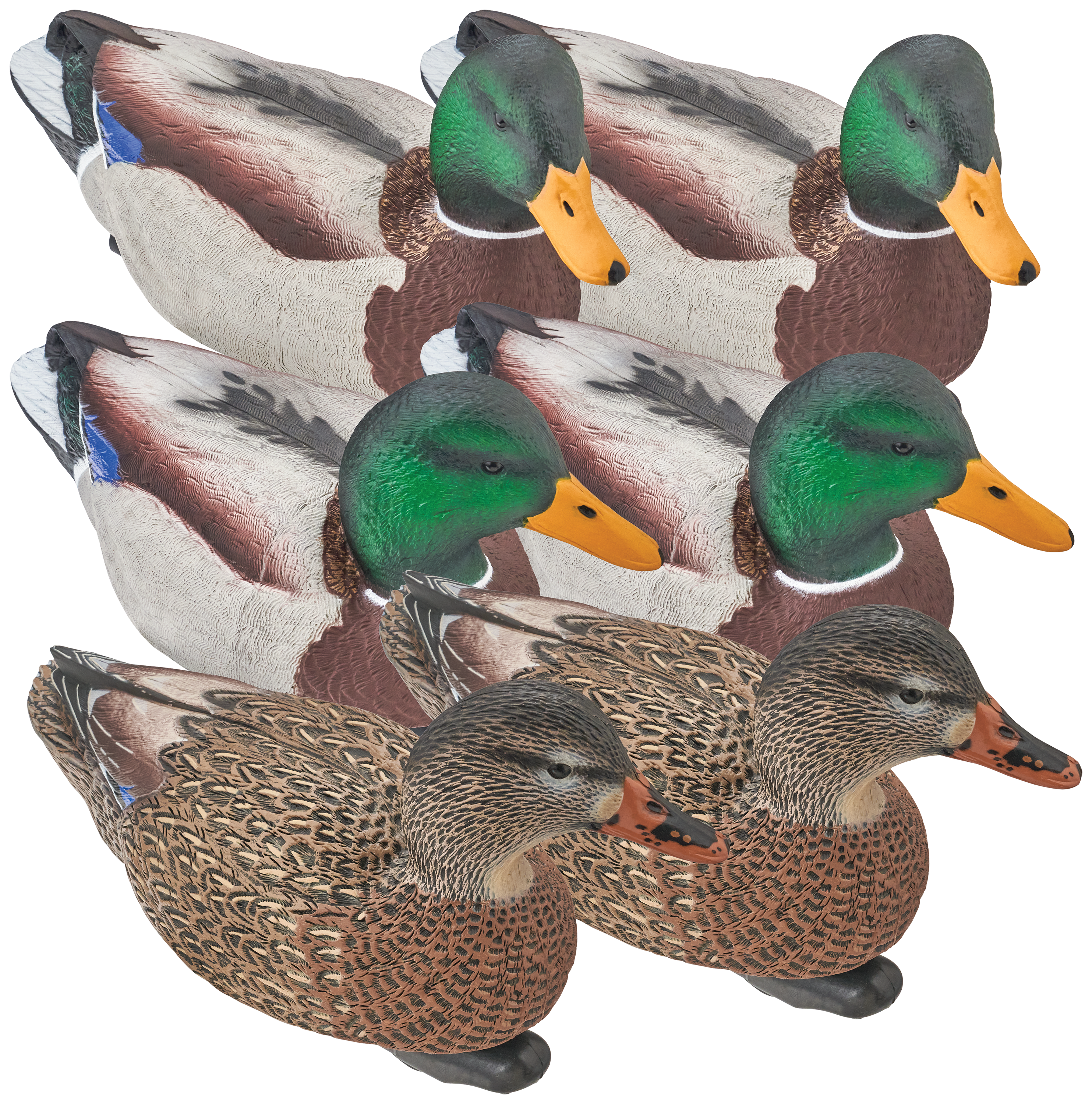 Image of Northern Flight Pro Series Mag Mallards Duck Decoy Active Pack