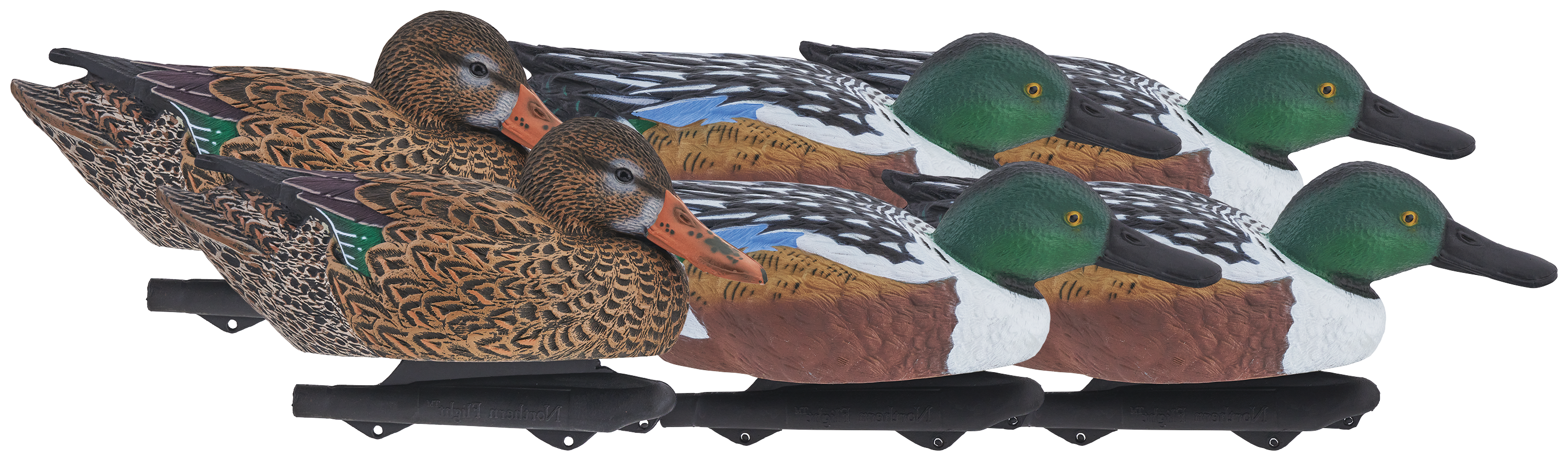 Image of Northern Flight Pro Series Shoveler Duck Decoys 6-Pack