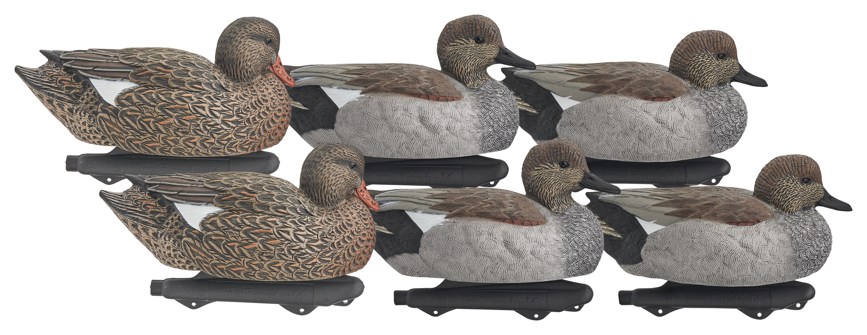 Image of Northern Flight Pro Gadwall Duck Decoys 6 Pack