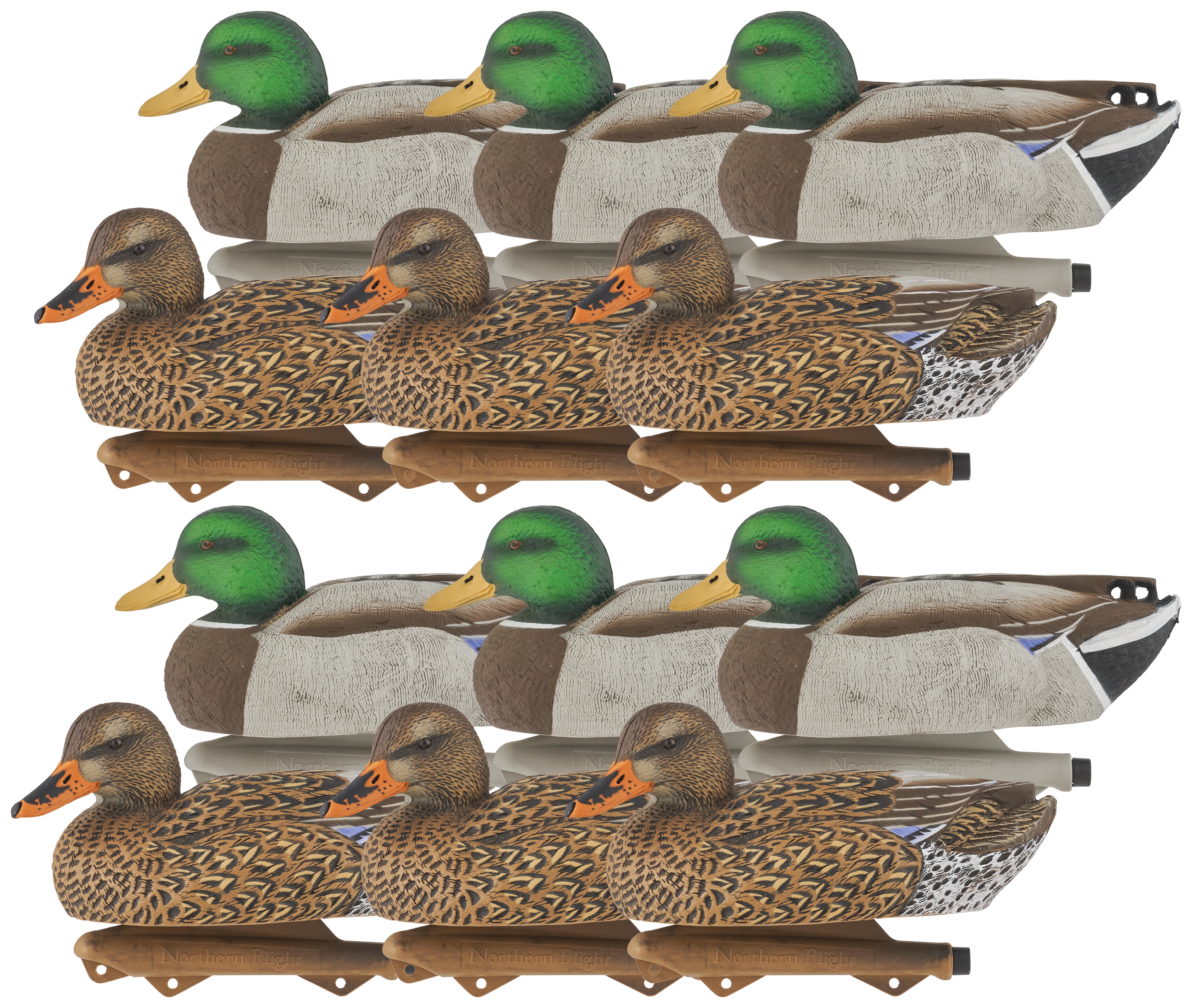 NORTHERN FLIGHT Big Spread Mallard Duck Decoys 12 Pack