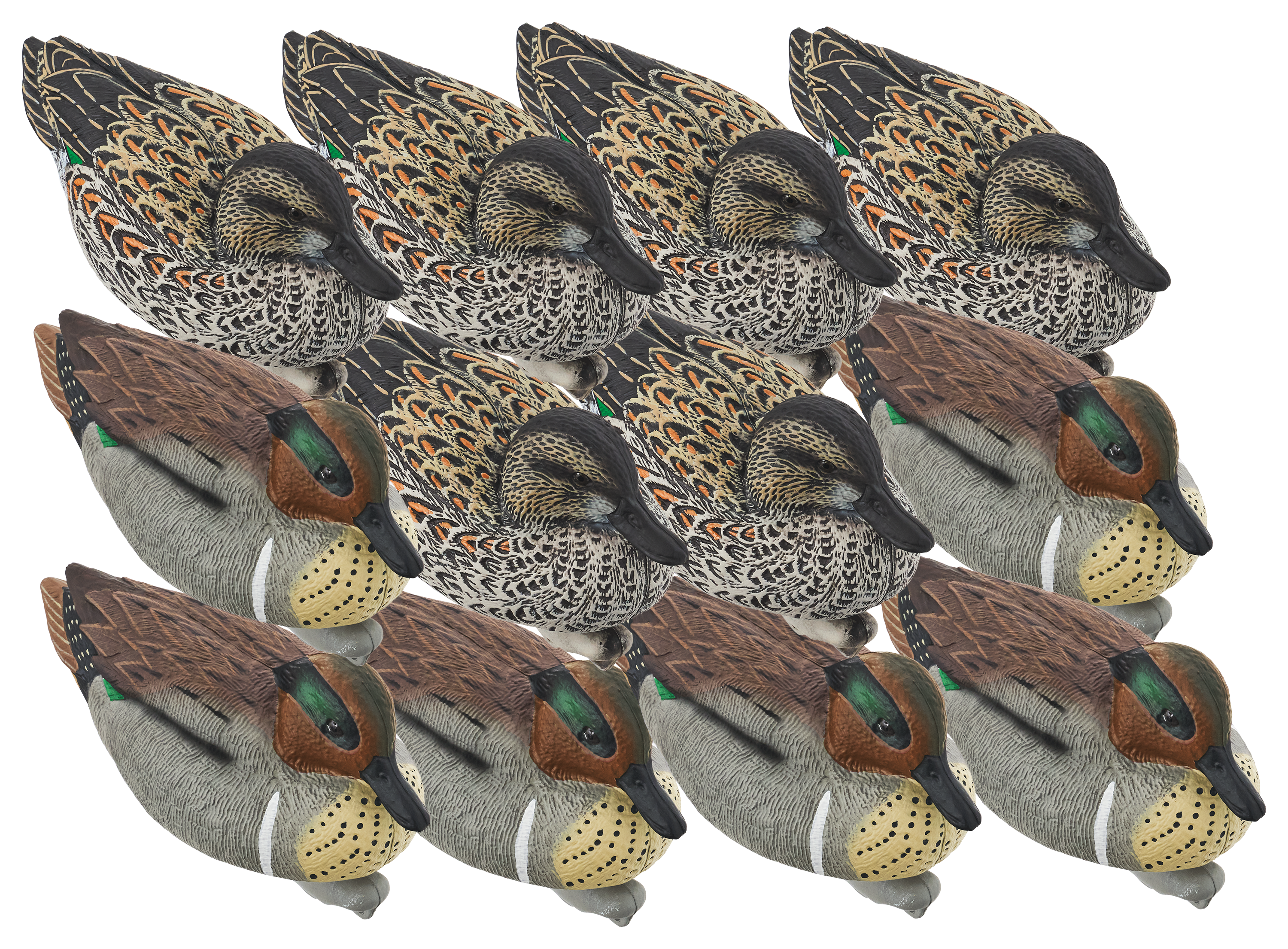 NORTHERN FLIGHT Big Spread Green-Winged Teal Duck Decoy 12 Pack