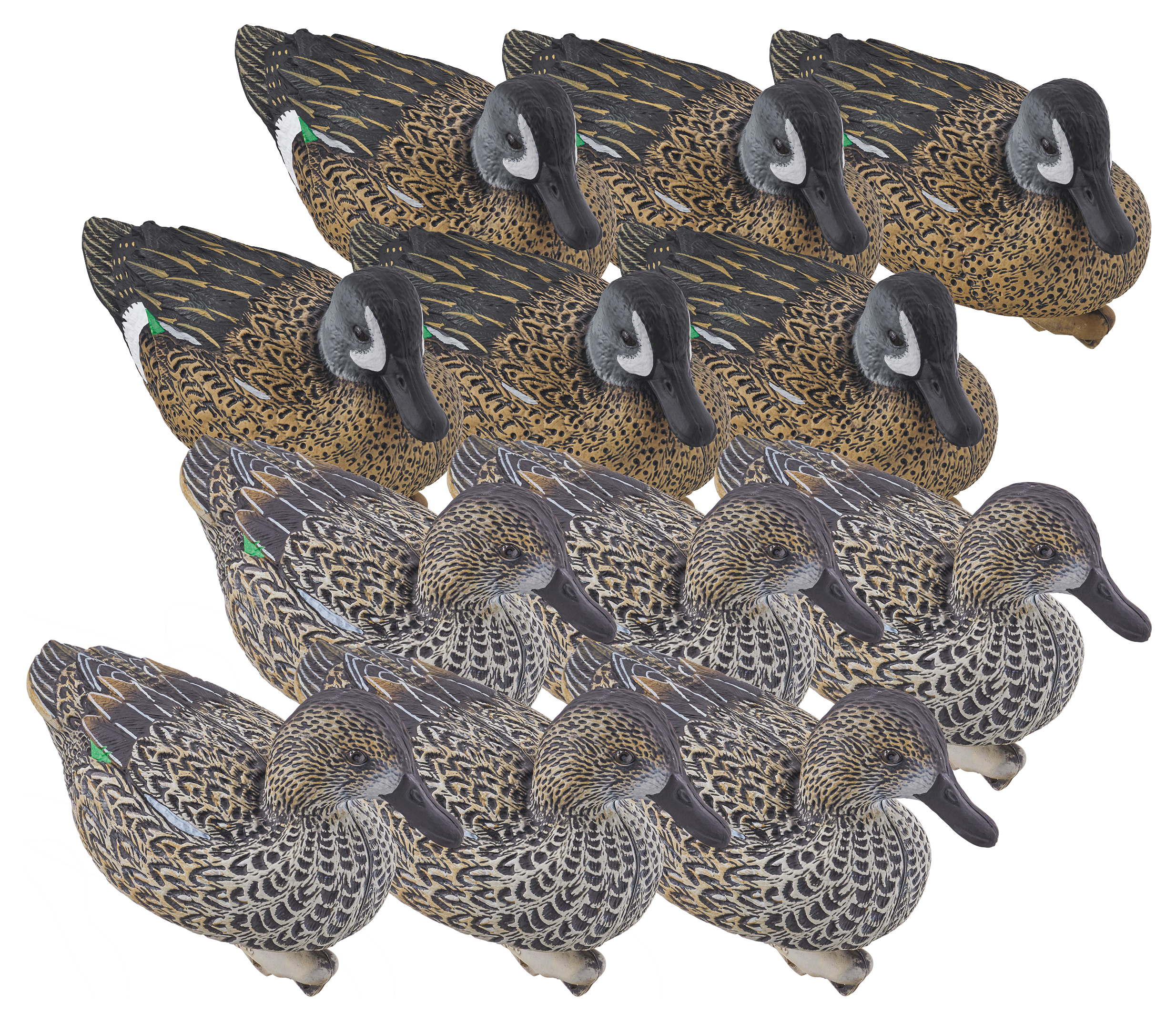 Image of Northern Flight Big Spread Blue-Winged Teal Duck Decoys 12 Pack