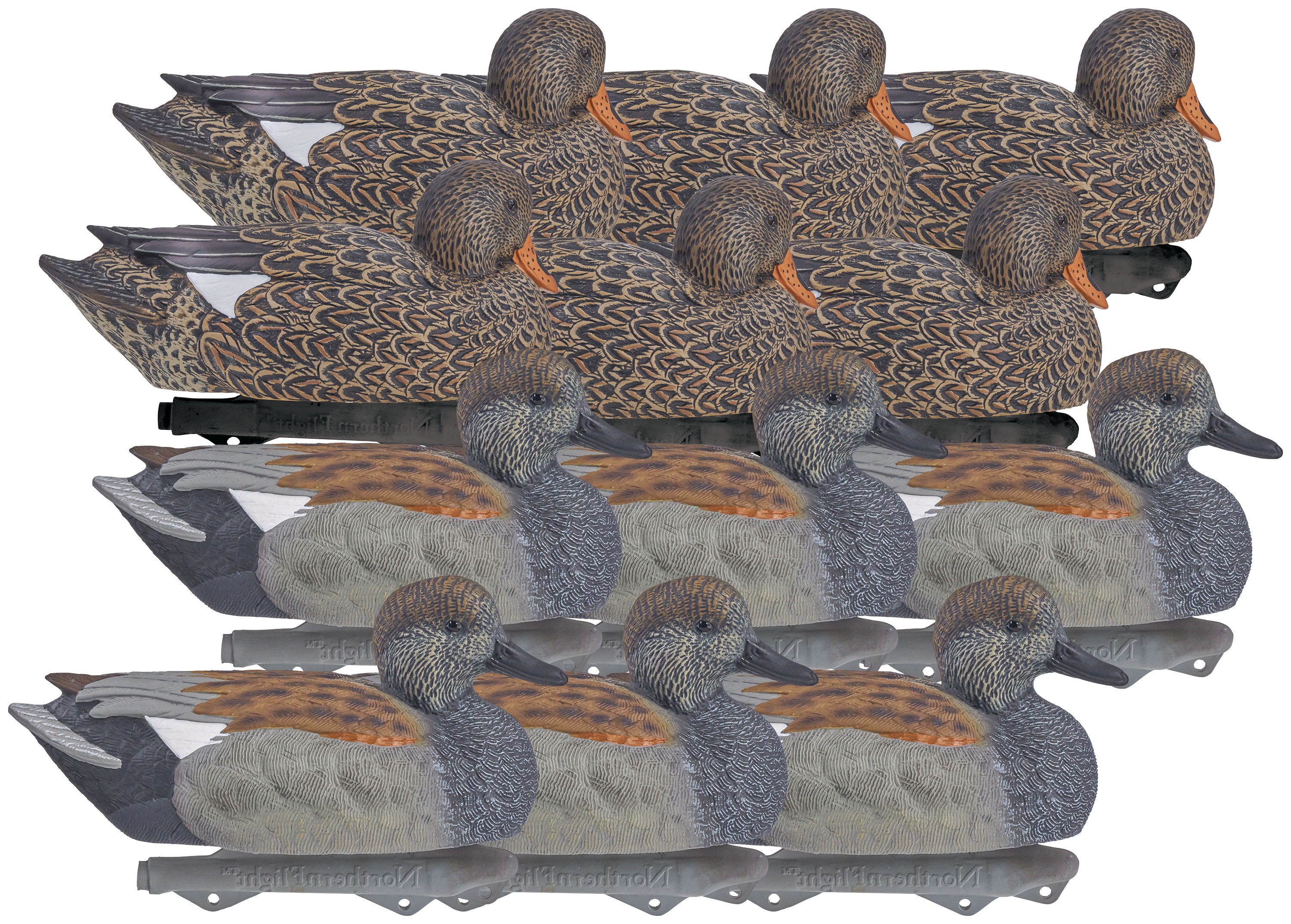 NORTHERN FLIGHT Big Spread Gadwall Duck Decoys 12 Pack