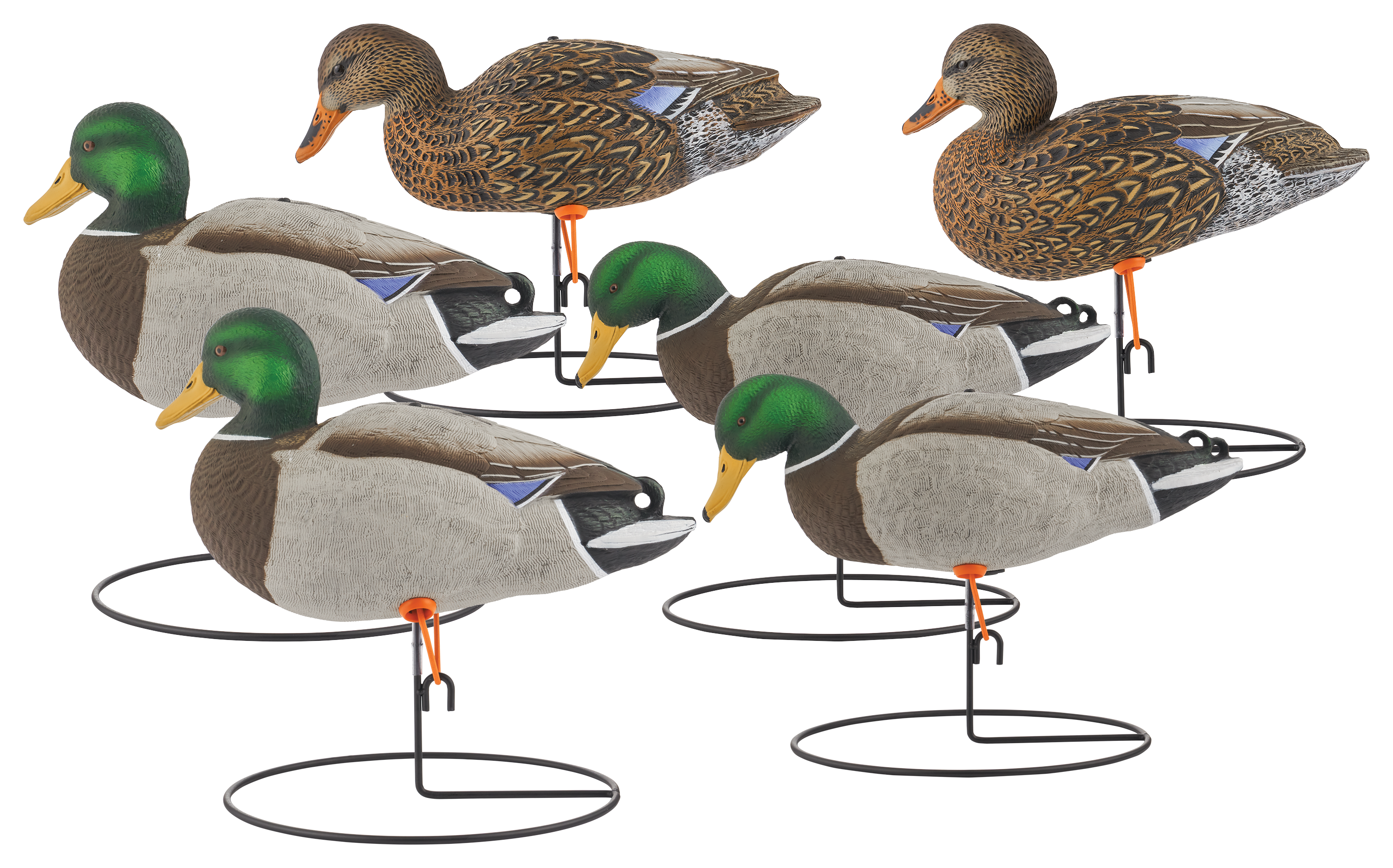 NORTHERN FLIGHT Big Spread Mallard Full-Body Duck Decoy Pack