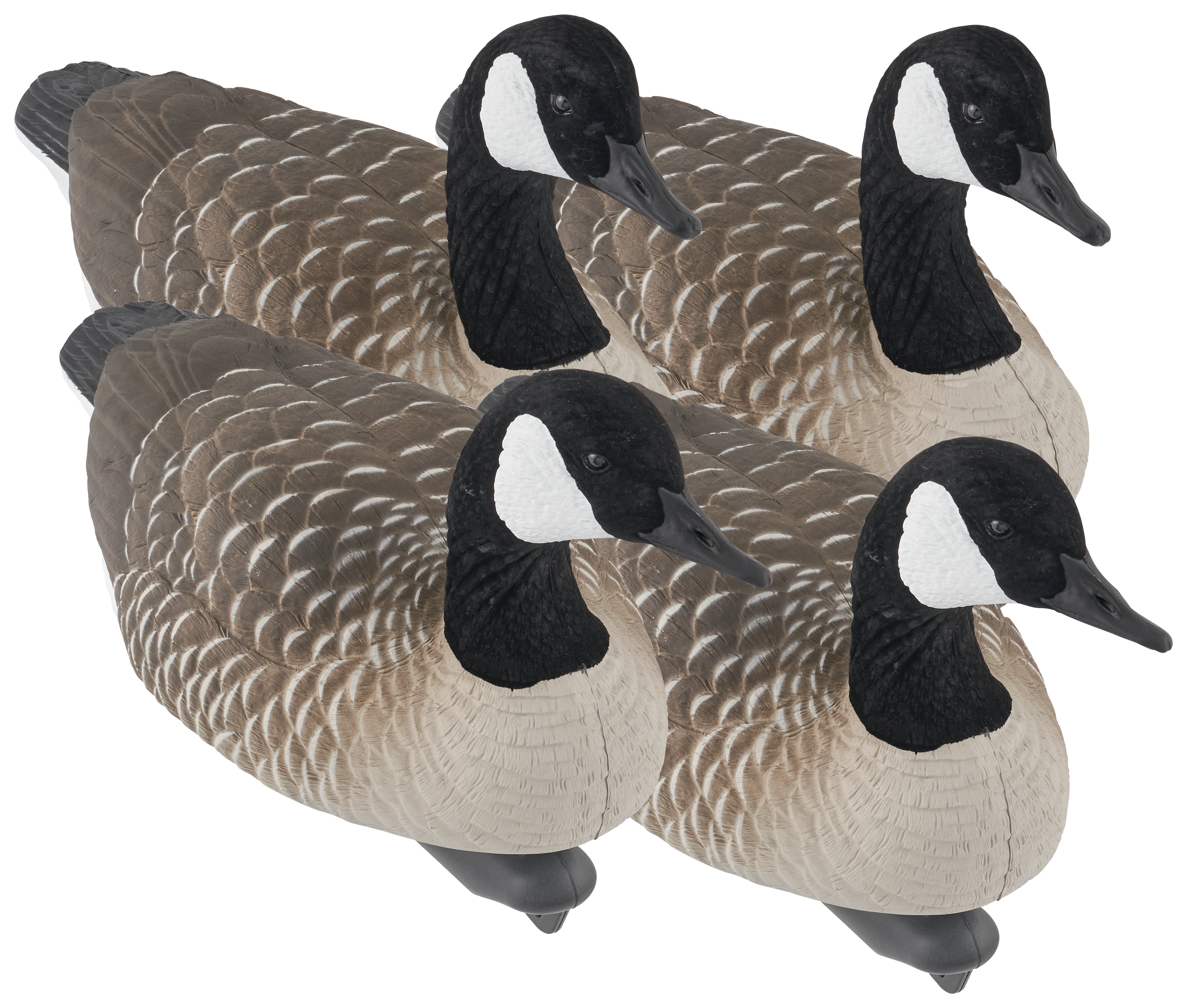 NORTHERN FLIGHT Big Spread Canada Goose Floating Decoy 4-Pack