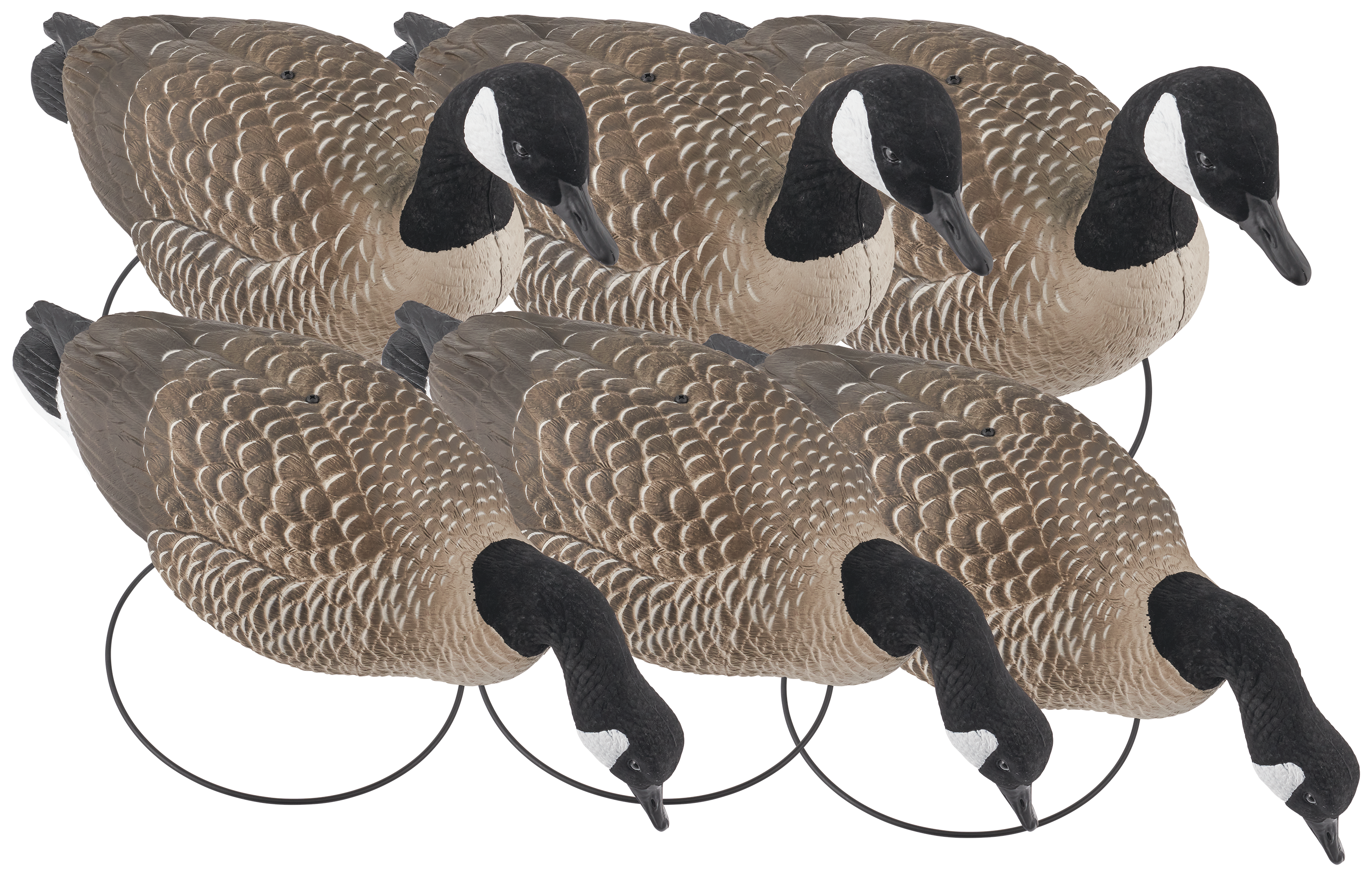 NORTHERN FLIGHT Big Spread Full-Body Canada Goose Decoy 6 Pack