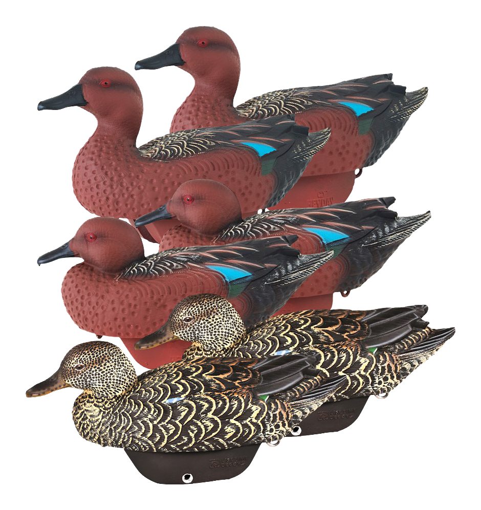 HEYDAY HydroFoam Cinnamon Teal Duck Decoys 6 Pack