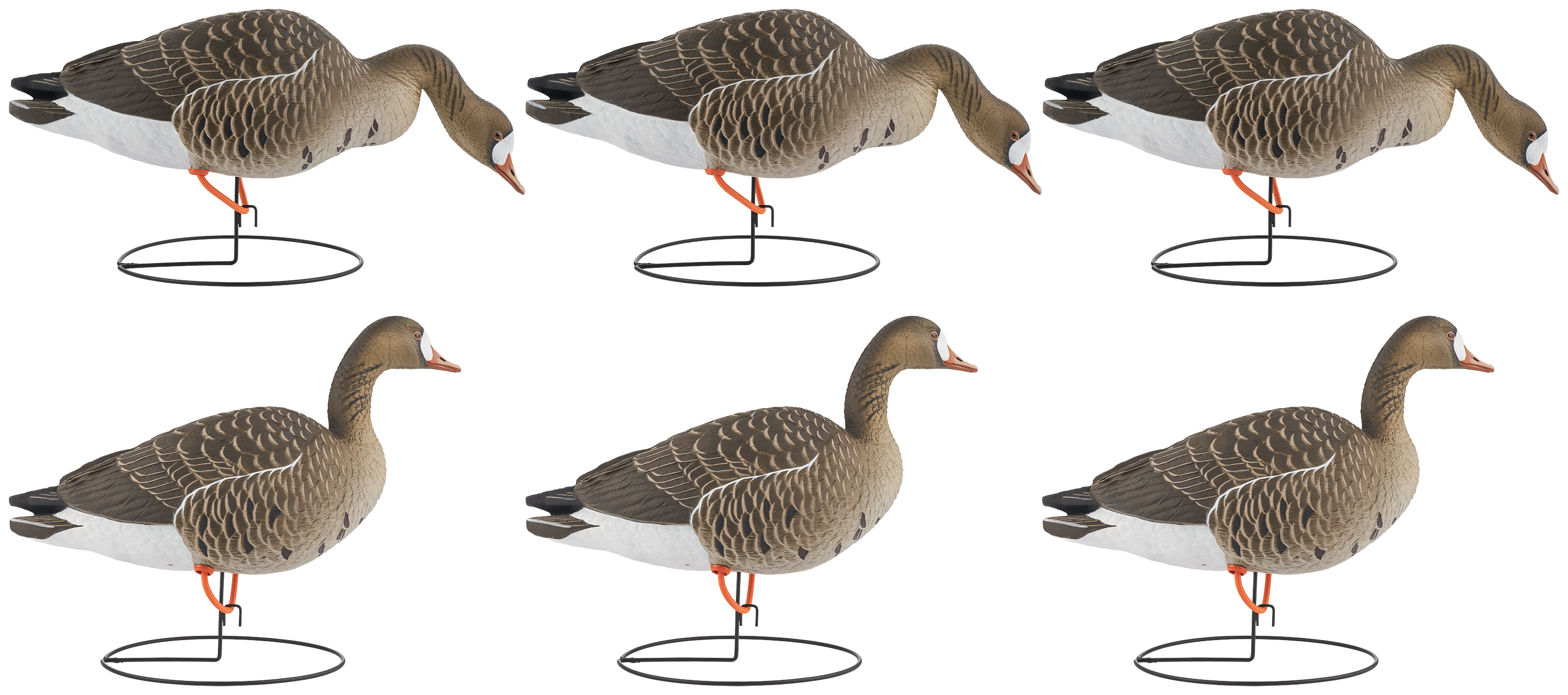 Image of Northern Flight Big Spread Full-Body Specklebelly Goose Decoys 6 Pack