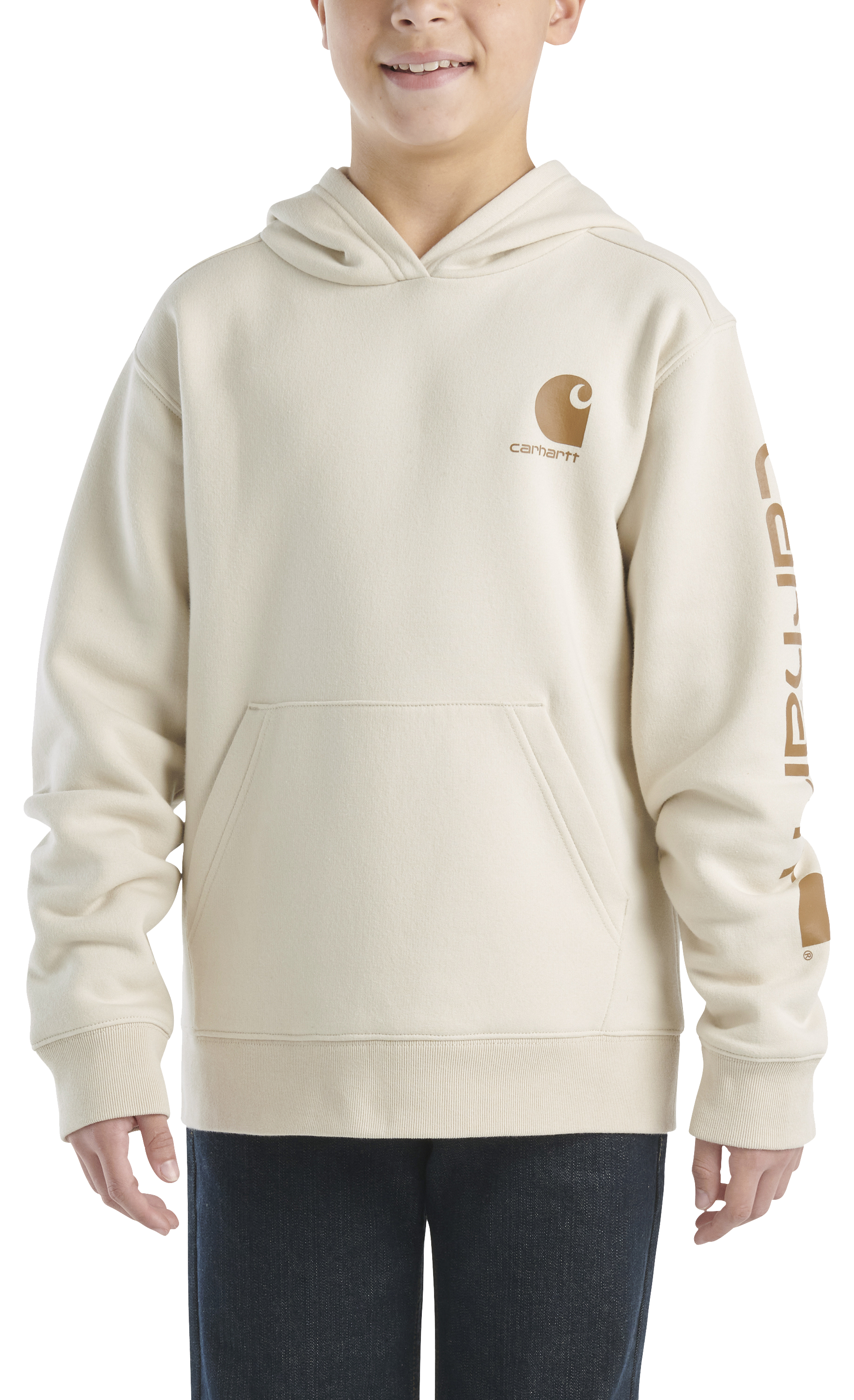 Image of Carhartt Graphic Long-Sleeve Hoodie for Boys - Turtledove