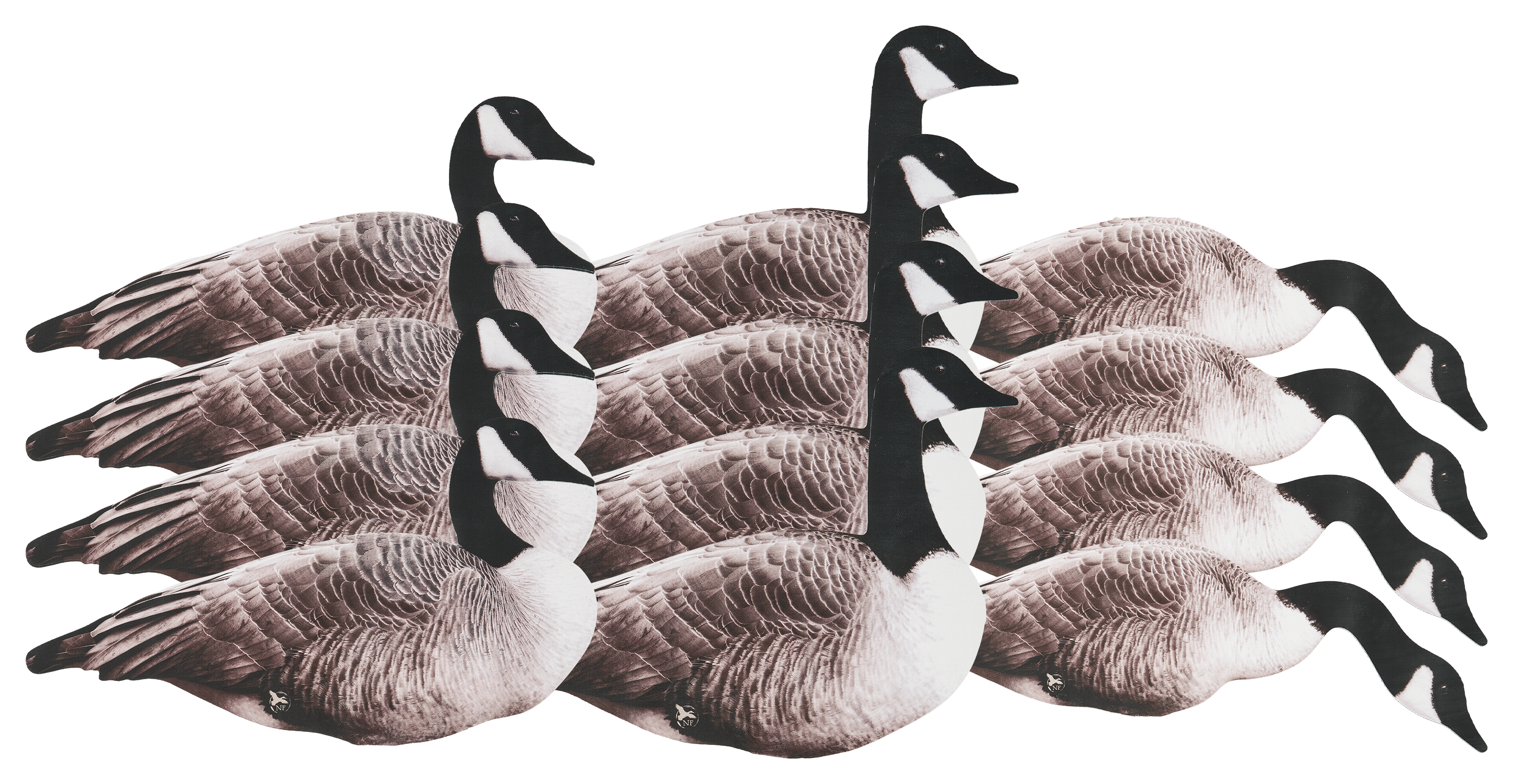 NORTHERN FLIGHT Canada Goose Flocked Silhouette Decoys 12 Pack