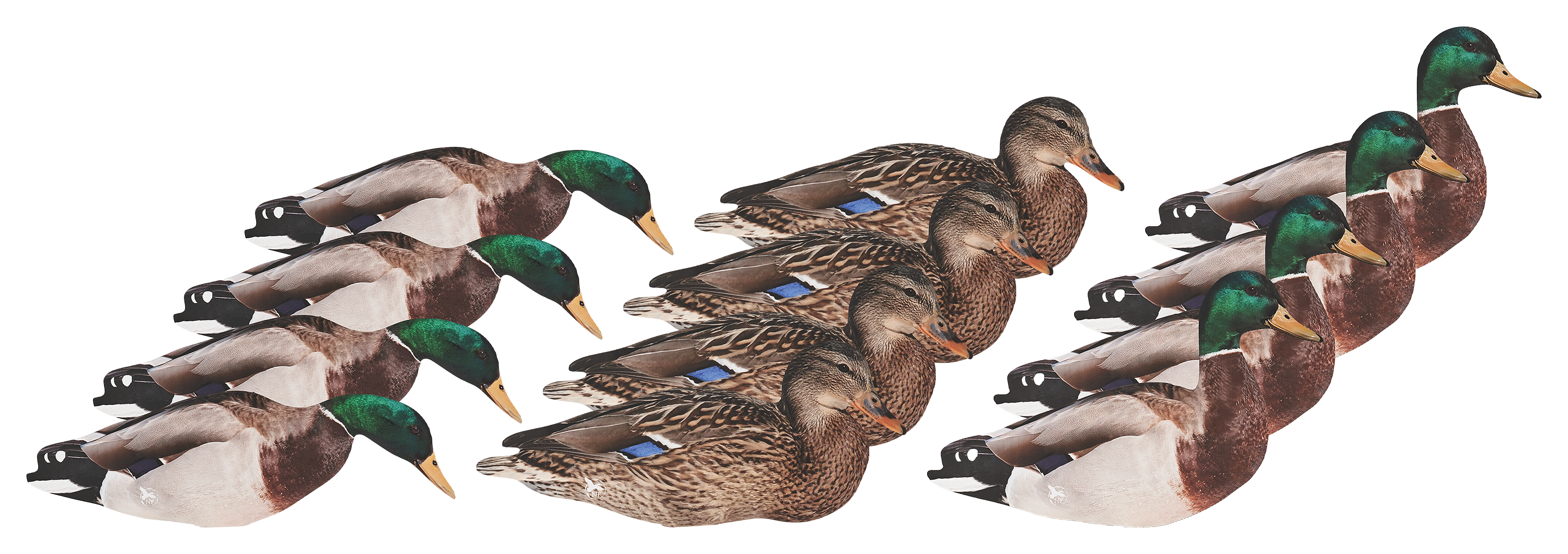 Northern Flight Mono Texas Decoy Rigs