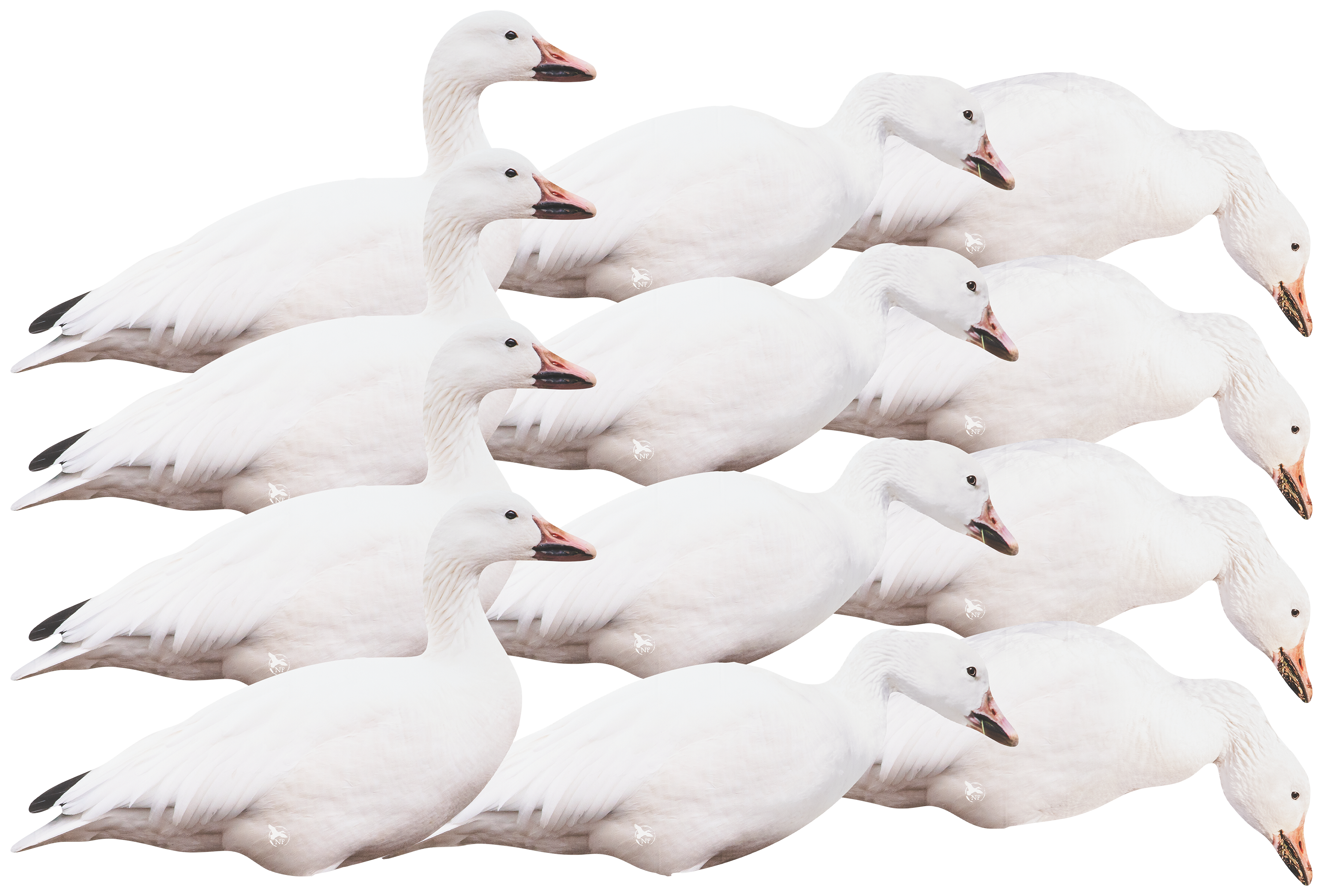 NORTHERN FLIGHT Snow Goose Silhouette Goose Decoy