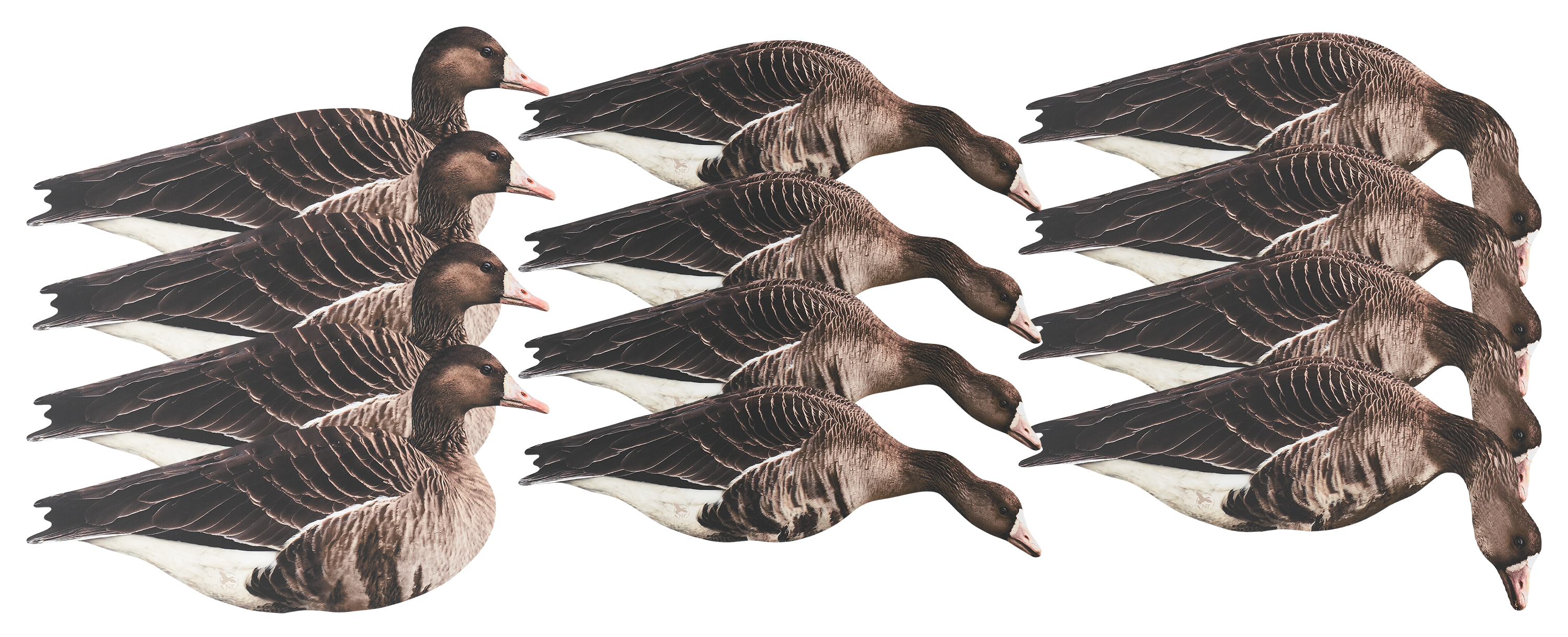 NORTHERN FLIGHT Specklebelly Goose Silhouette Goose Decoys 12 Pack