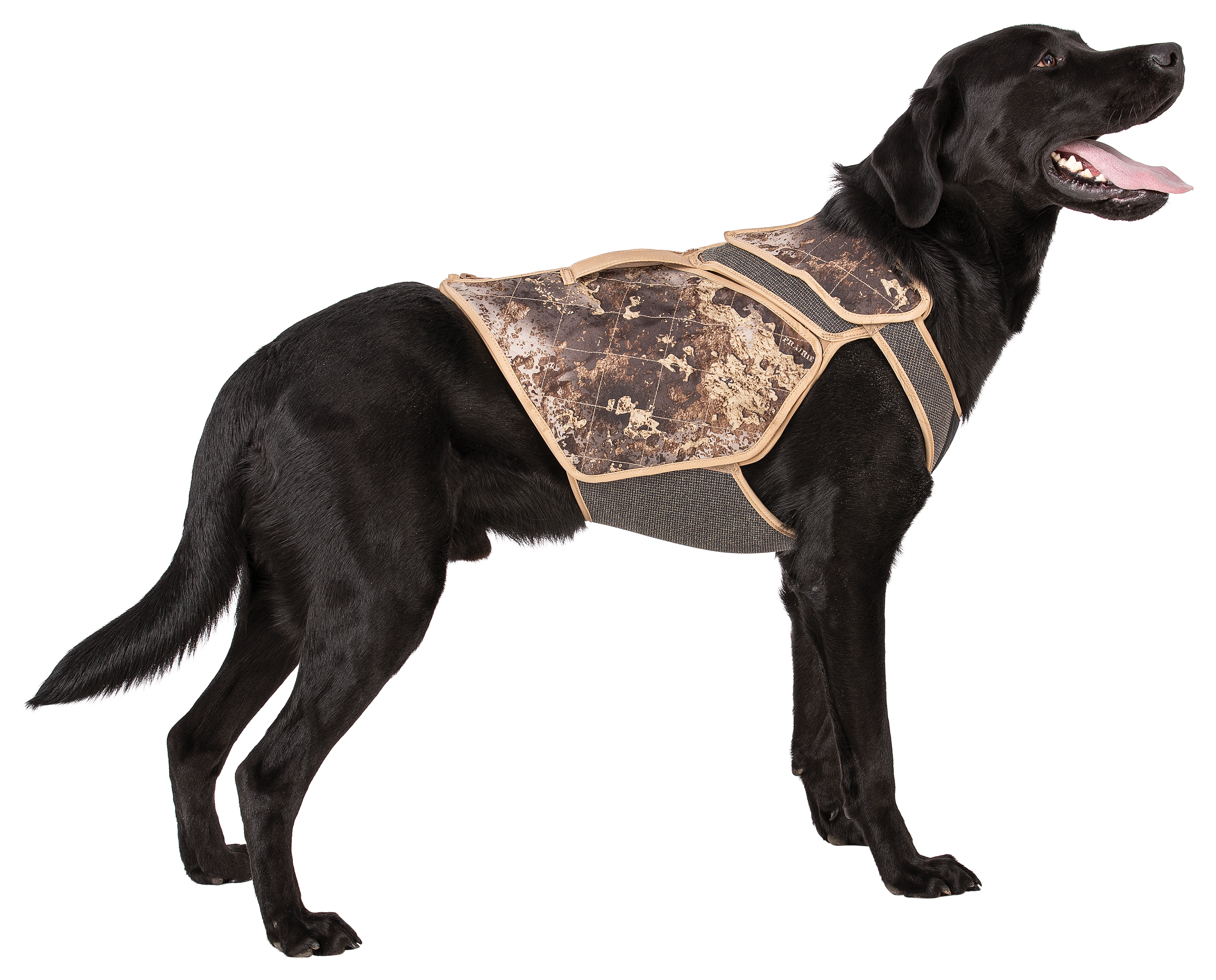 NORTHERN FLIGHT Renegade ONE Hunting Vest for Dogs