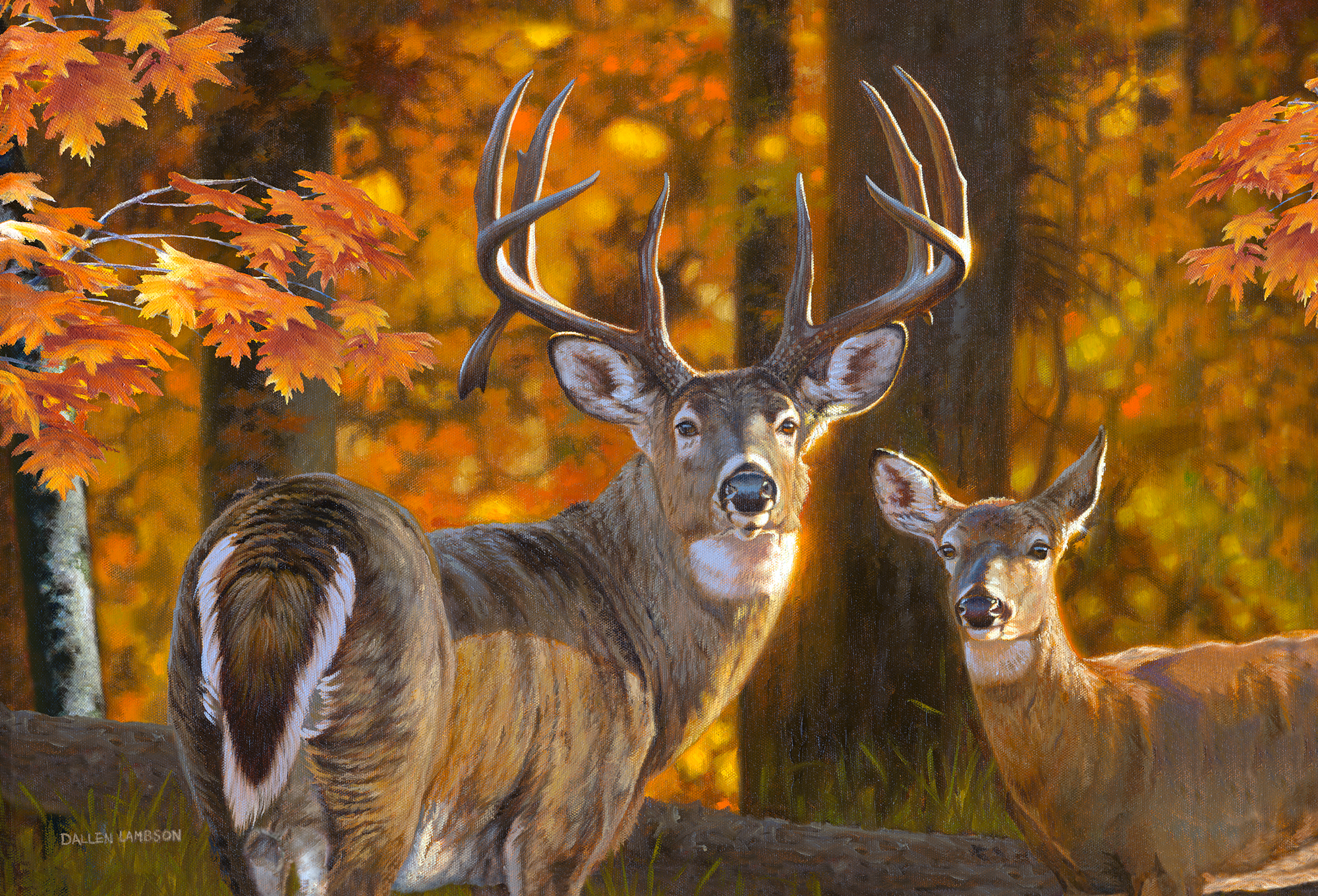 ROCKY MOUNTAIN Publishing Prestige Wrapped Canvas Gicl+¬e Wall Art