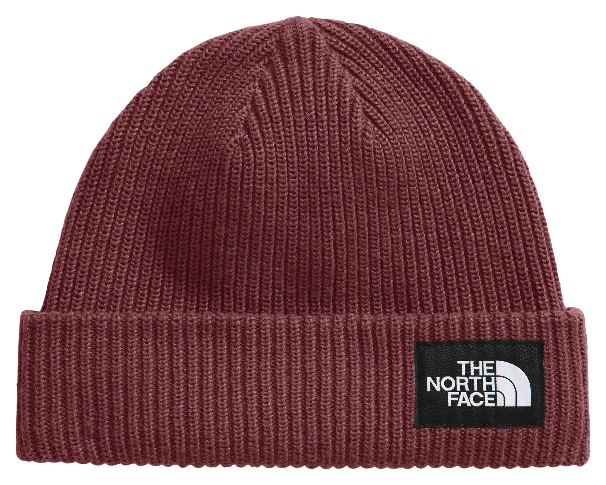 THE NORTH FACE Salty Lined Beanie