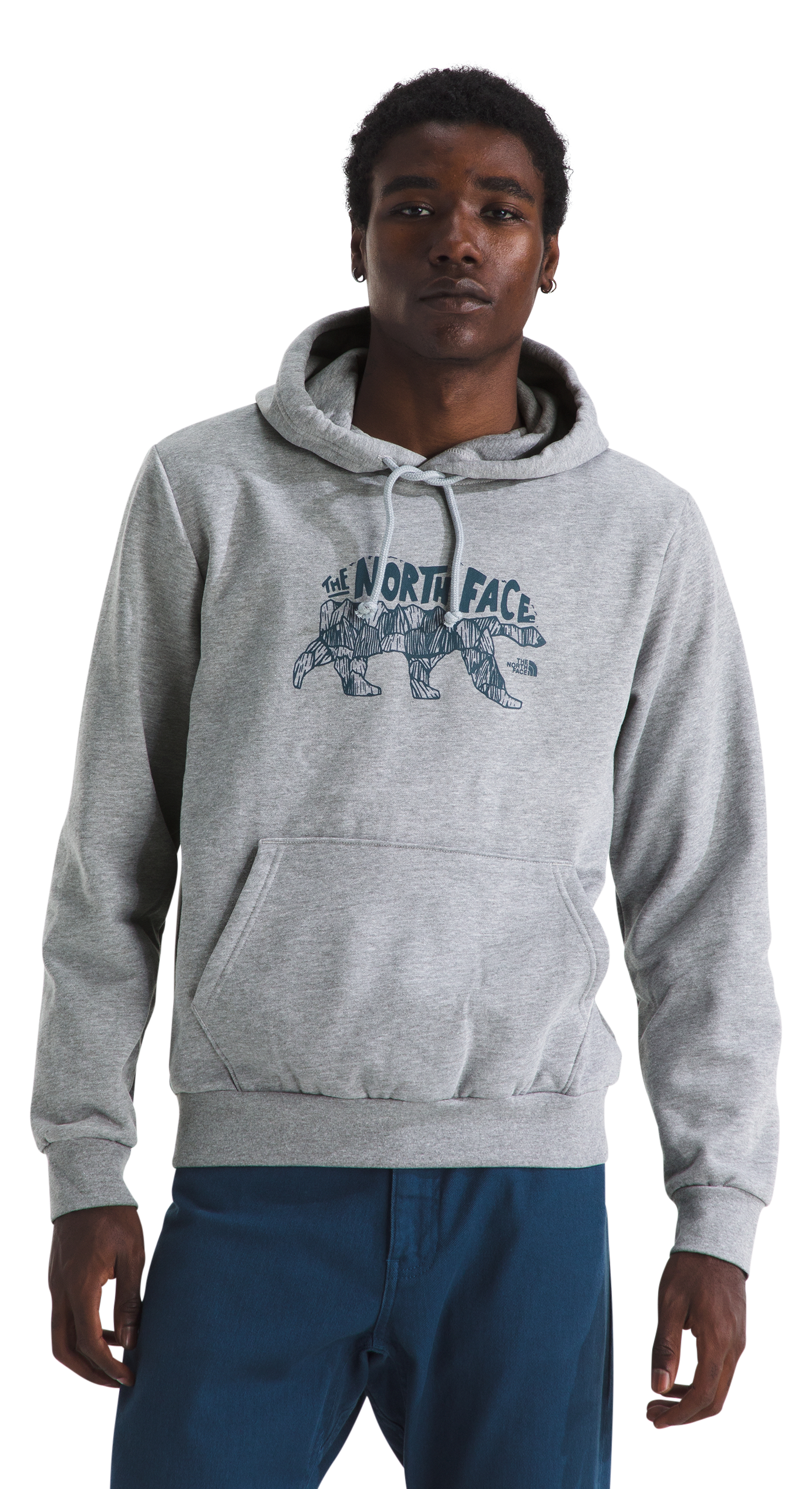 Image of The North Face Evolution Bear Graphic Hoodie - TNF Grey Heather