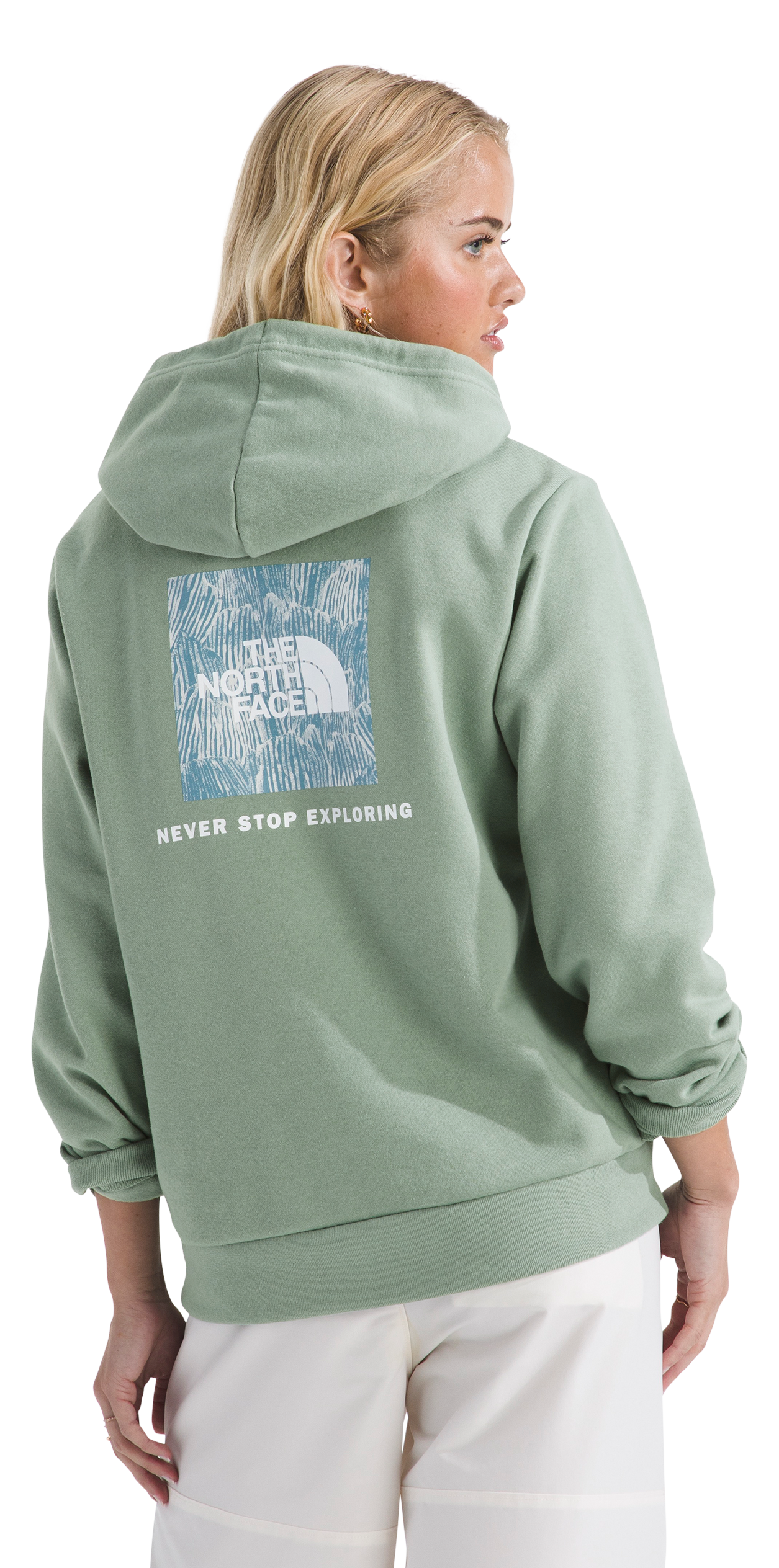 The North Face Evolution Box NSE Graphic Fill Hoodie