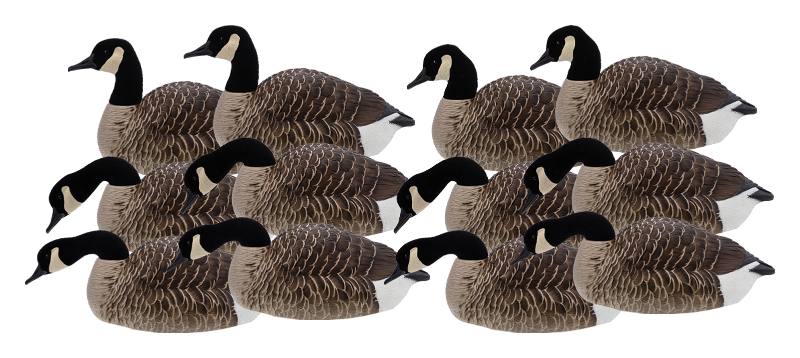 Avian-X Canada Goose Shell Decoys 12 Pack