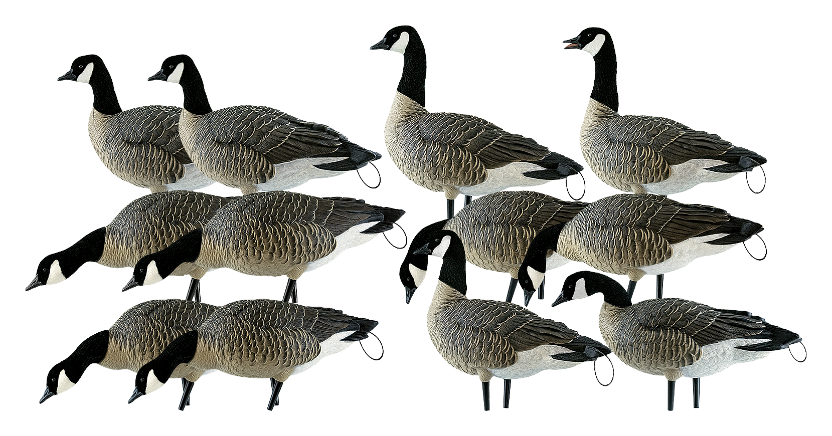 Avian-X Fully Flocked Lesser Canada Geese Decoys with Tail Loops 12 Pack