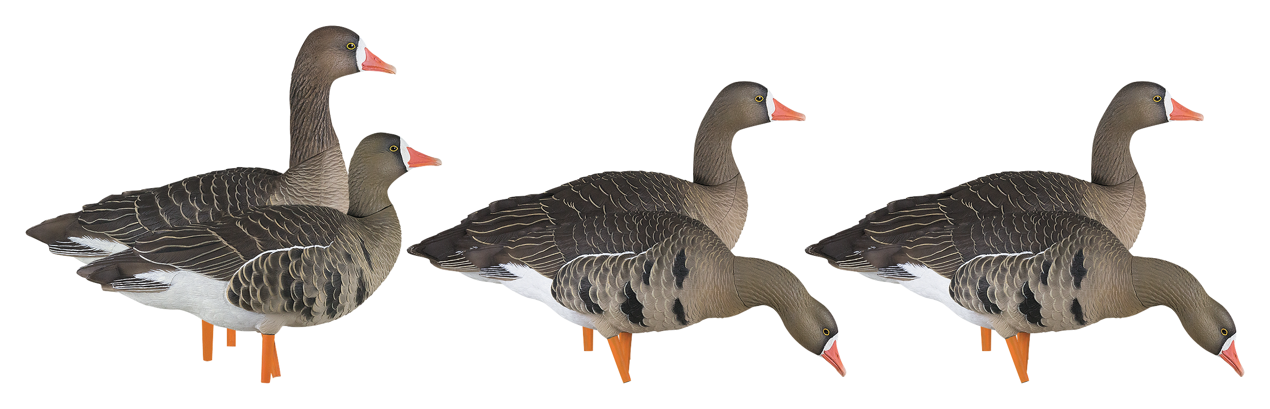 Image of Avian-X AXP Specklebelly Goose Decoys 6 Pack