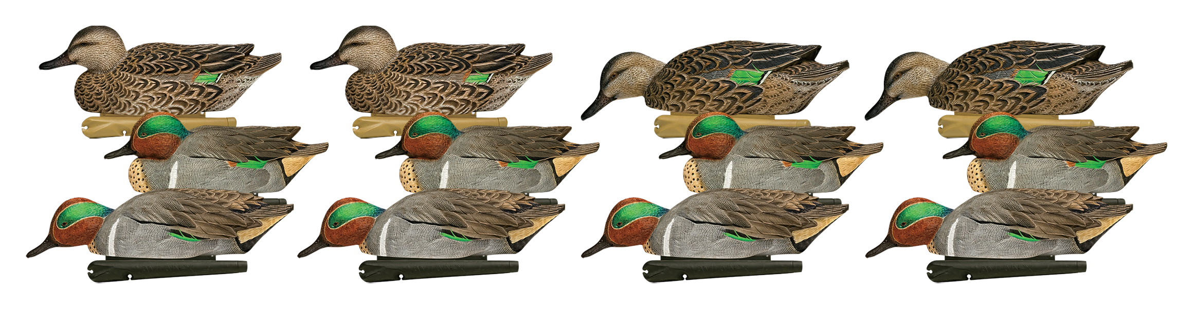 Image of "Avian-X Green-Winged Teal Decoy 12-Pack with 36"" Texas Rigs"