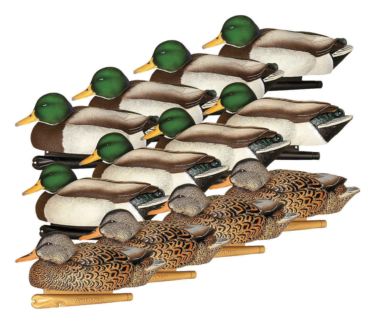 Avian-X Late Season Flocked Mallard Decoys 12 Pack