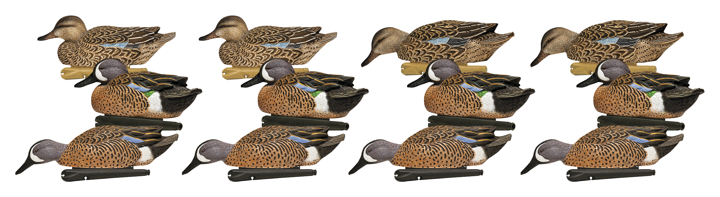 Image of "Avian-X Blue-Winged Teal Duck Decoys 12 Pack with 36"" Texas Rigs"