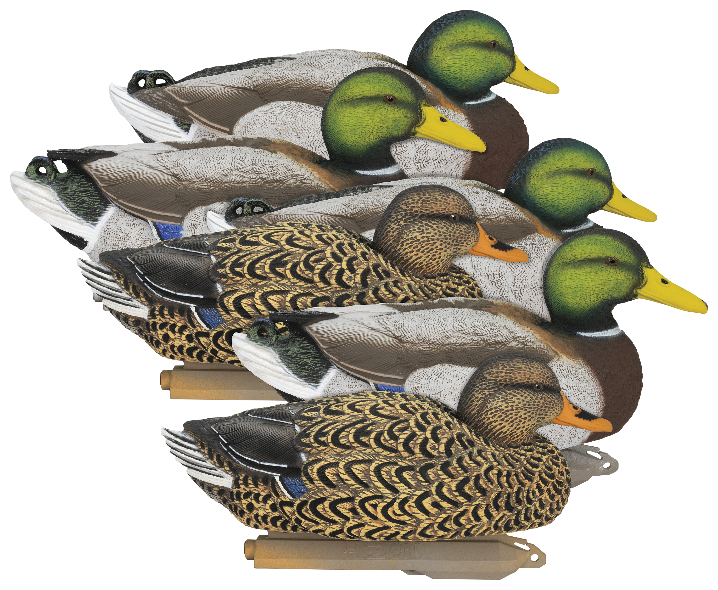 Image of Higdon Legacy Magnum Mallard Duck Decoys 6 Pack