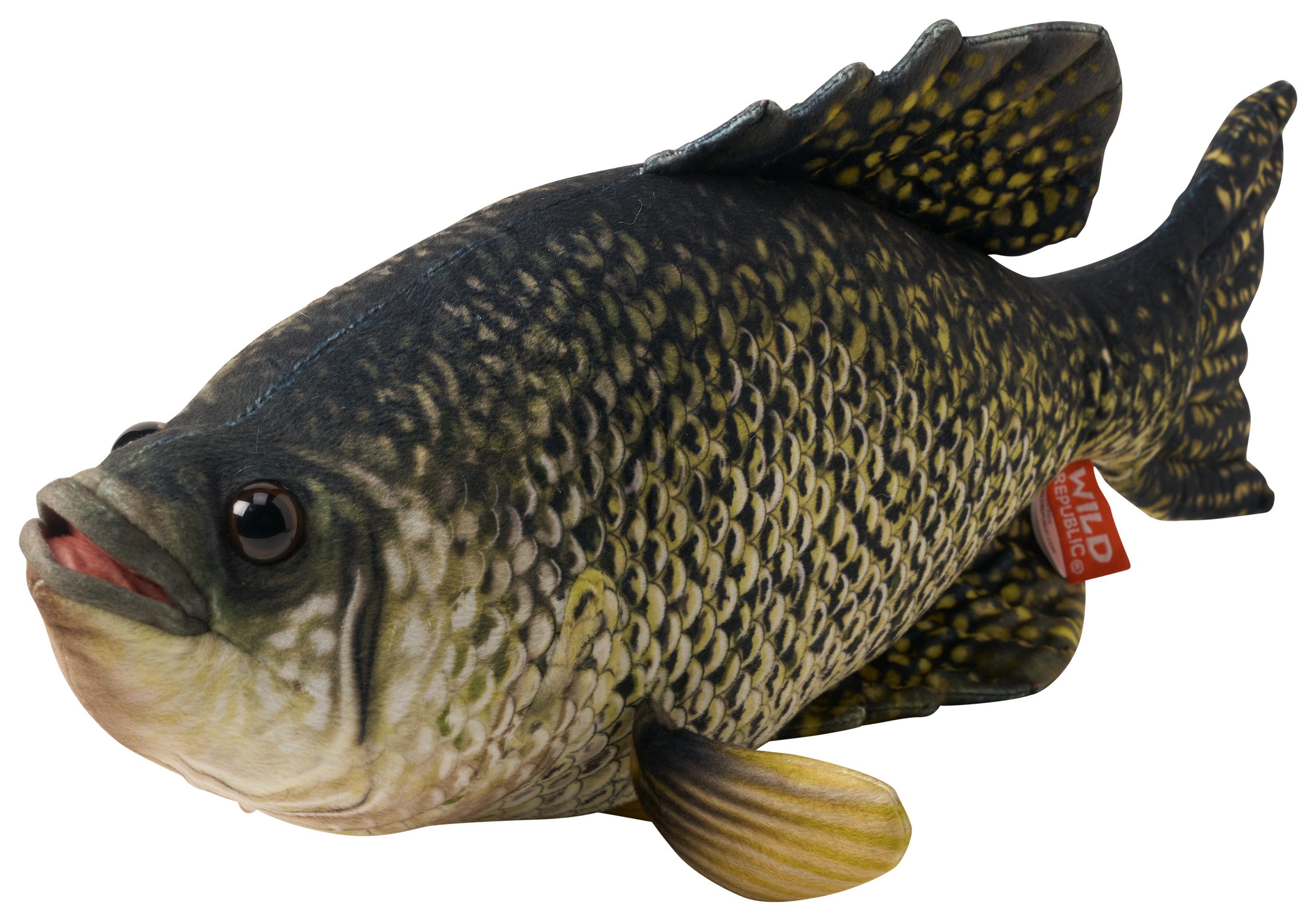 Bass Pro Shops Plush Stuffed Crappie for Kids
