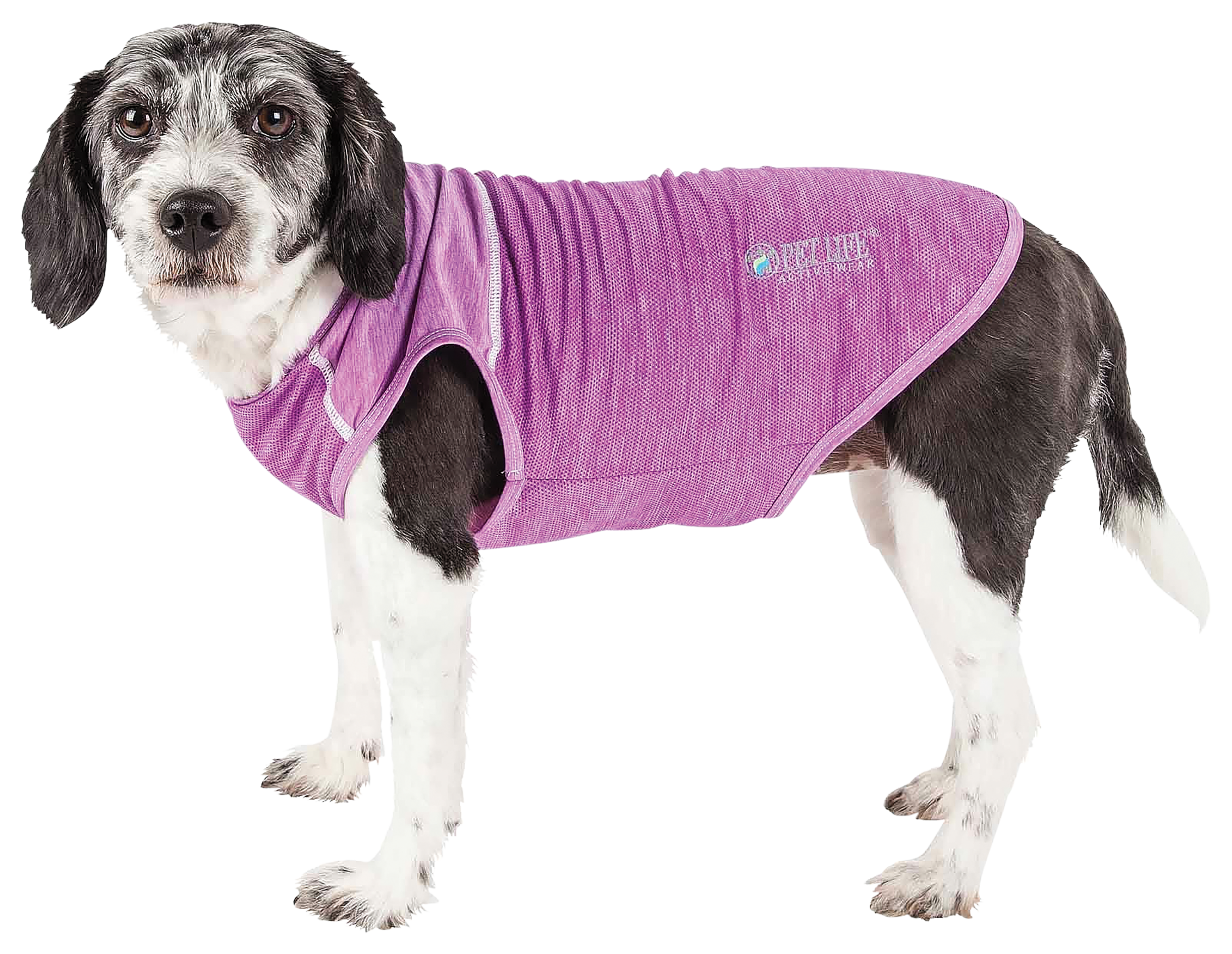 Image of Pet Life Active Aero-Pawlse Quick-Dry Stretch Tank Top for Dogs - Maroon/Purple - X-Large