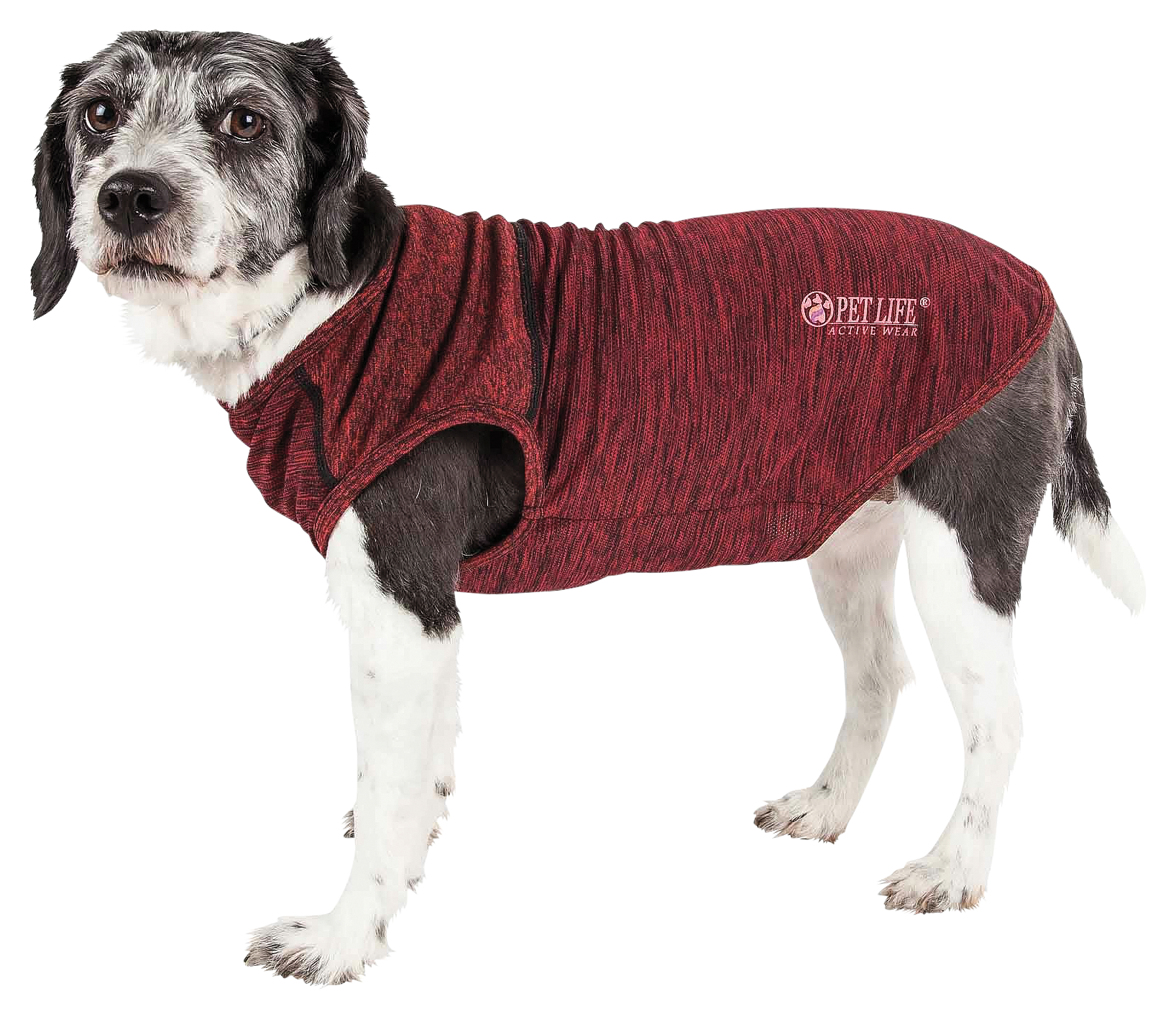 Image of Pet Life Active Aero-Pawlse Quick-Dry Stretch Tank Top for Dogs - Red/Maroon - Medium