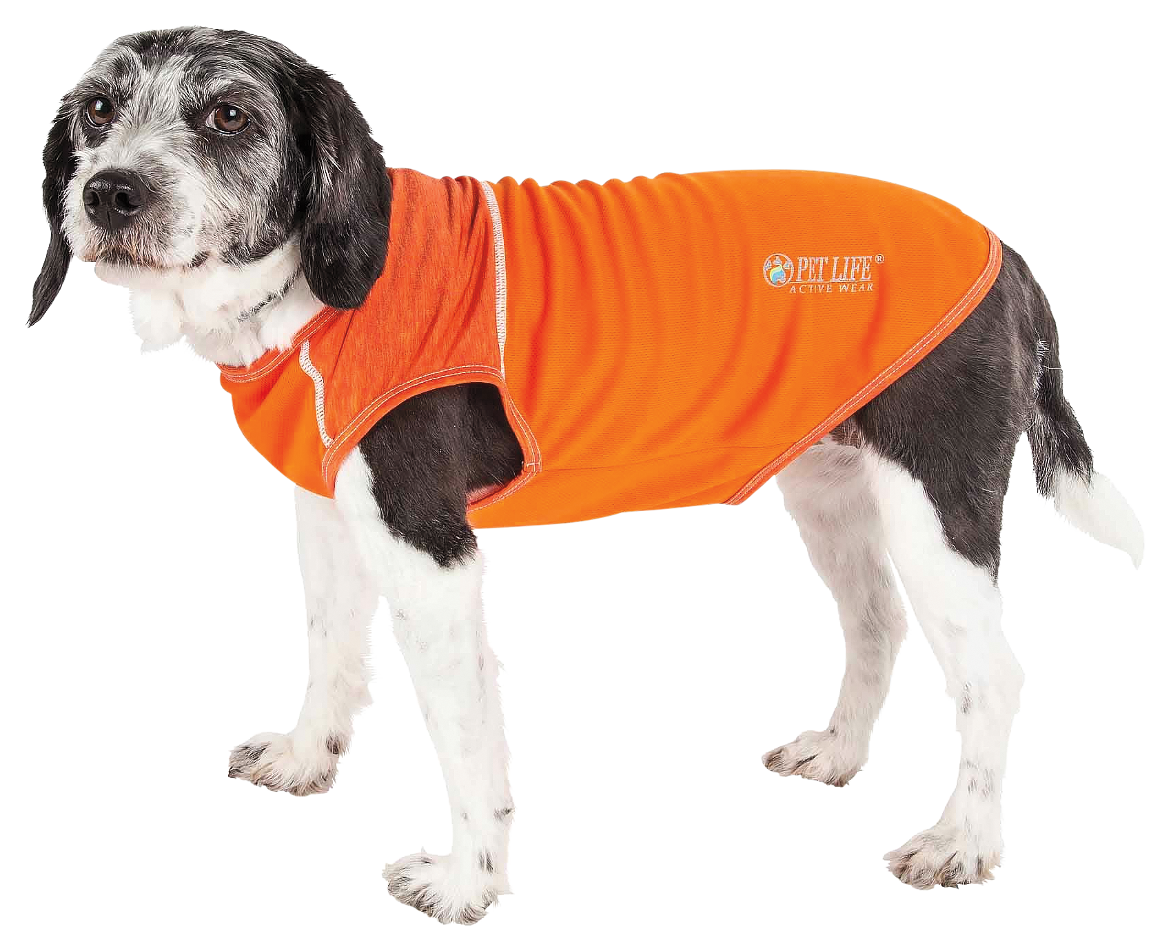 Image of Pet Life Active Aero-Pawlse Quick-Dry Stretch Tank Top for Dogs - Orange - Small