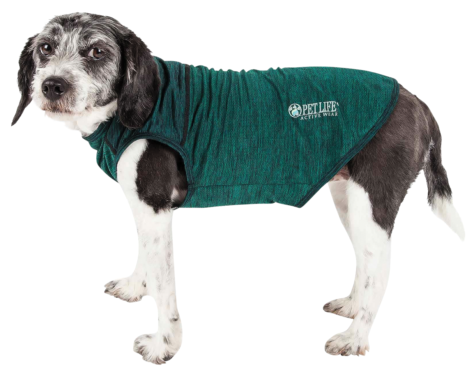 Image of Pet Life Active Aero-Pawlse Quick-Dry Stretch Tank Top for Dogs - Green - Small