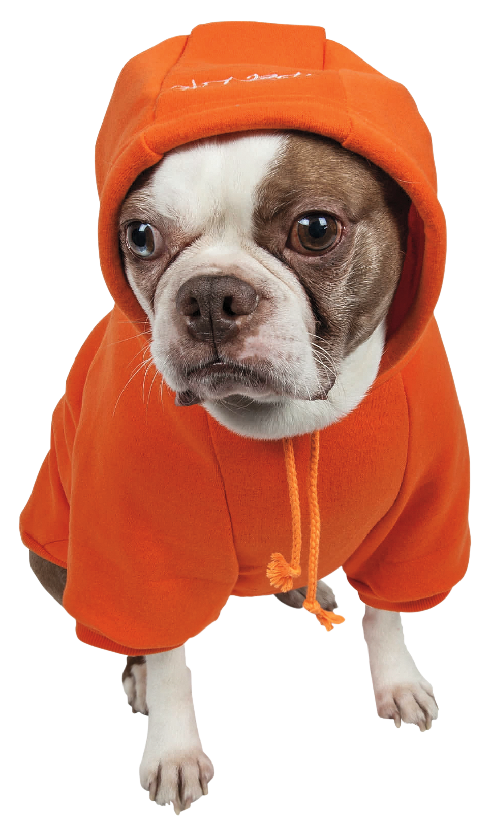 Image of Pet Life American Classic Hooded Sweater for Dogs - Orange - Medium