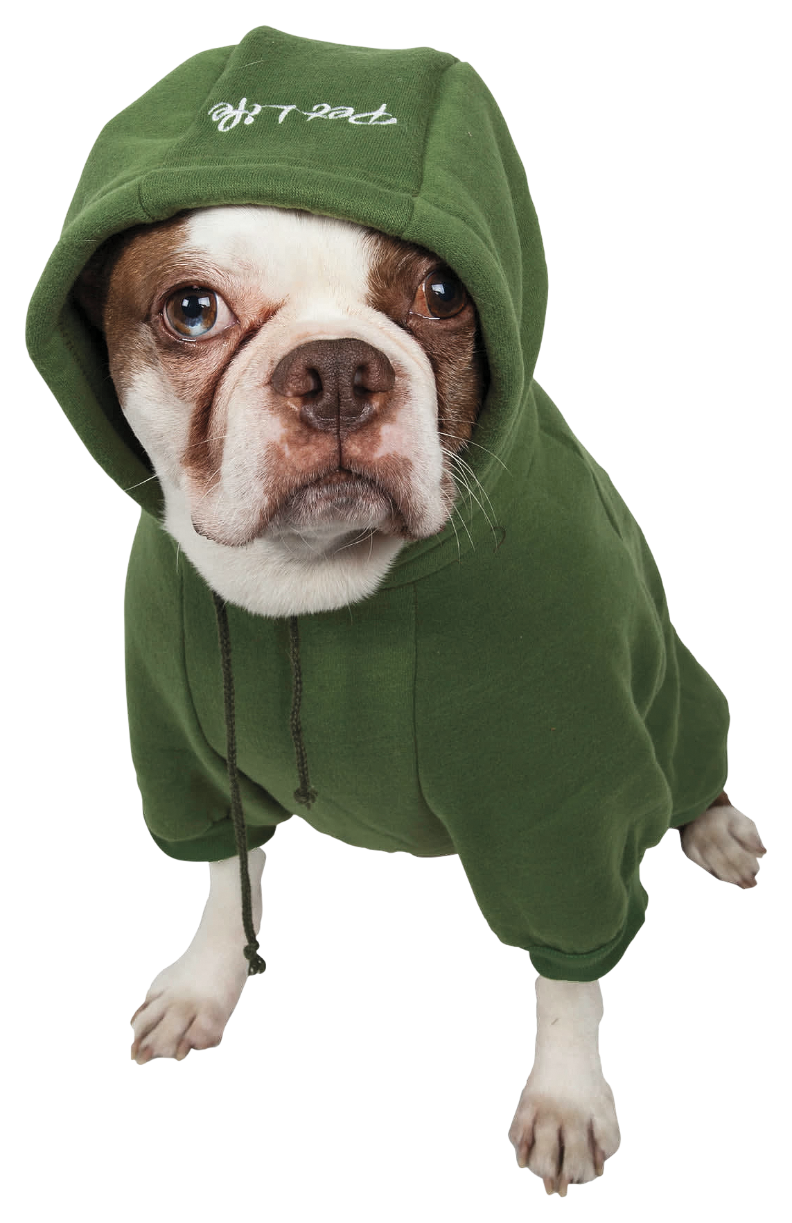 Image of Pet Life American Classic Hooded Sweater for Dogs - Green - Large