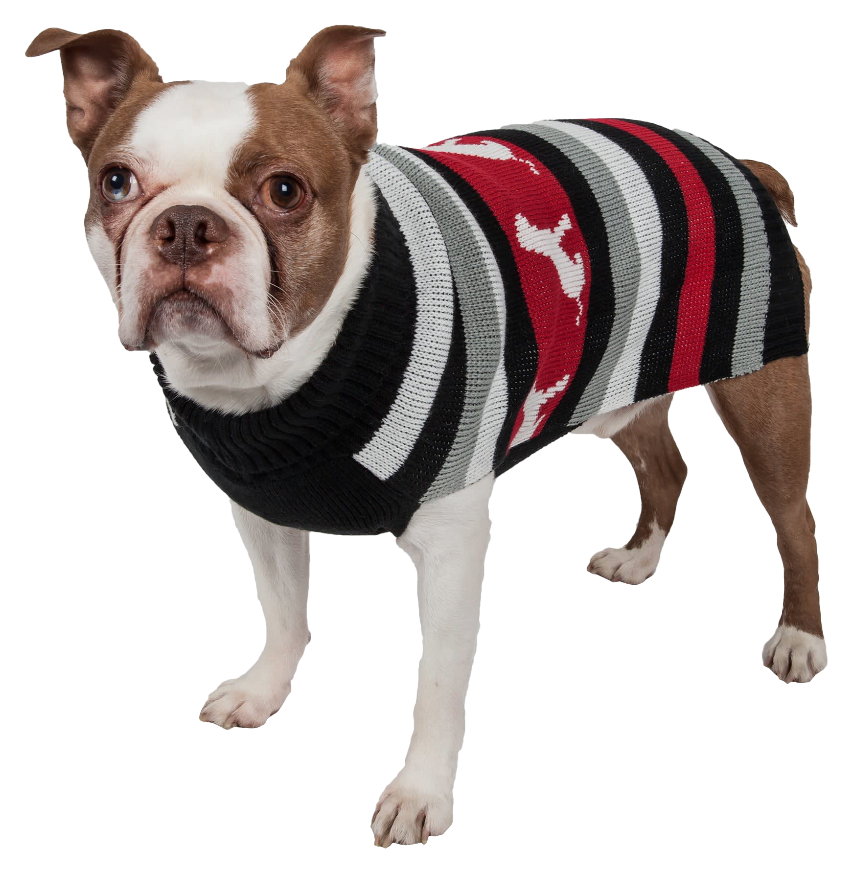 Image of Pet Life Dog-Patterned Striped Sweater for Dogs - Red/Black/Grey - Large
