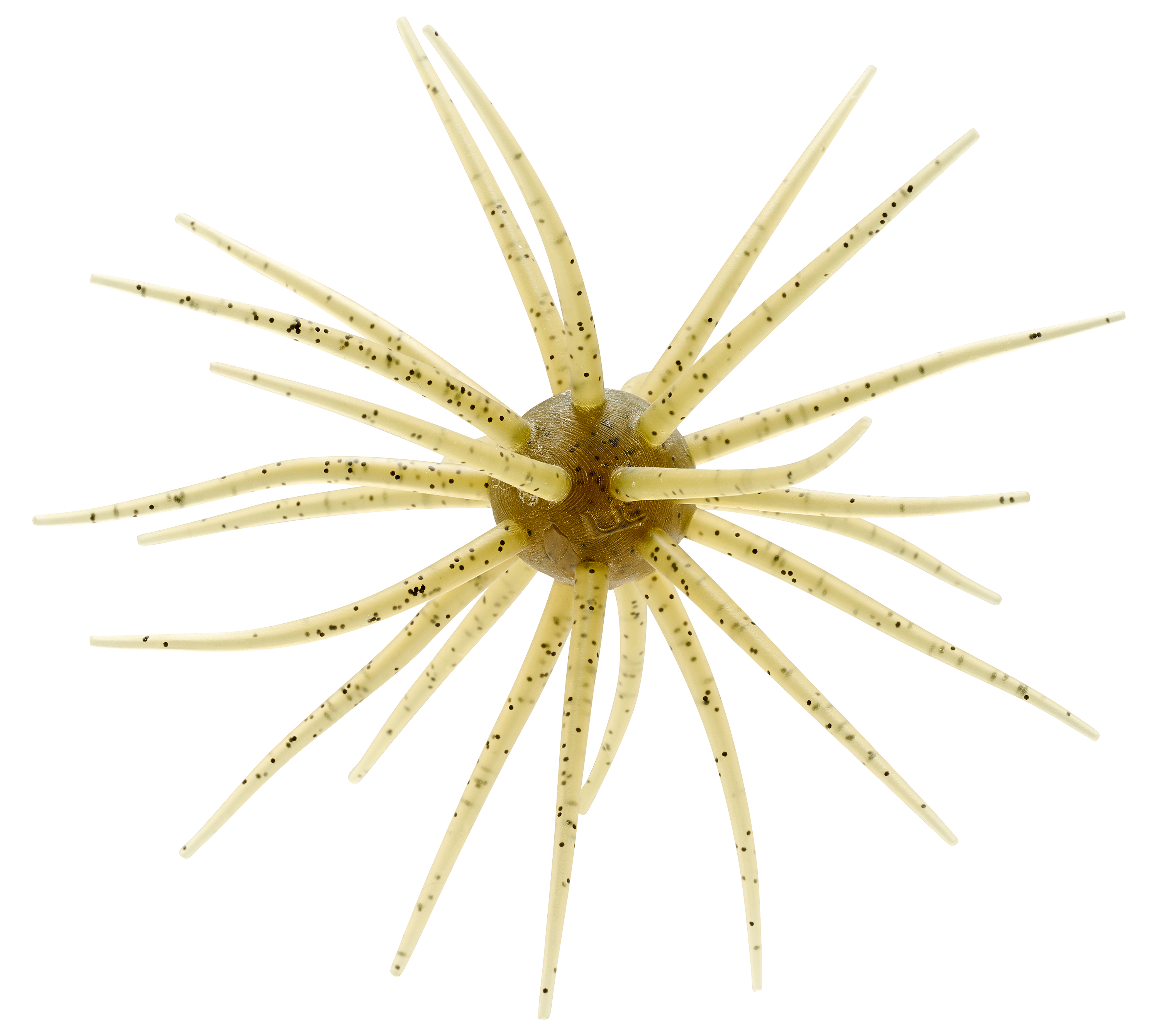 Image of Hideup Coike - Watermelon Seed - 17mm