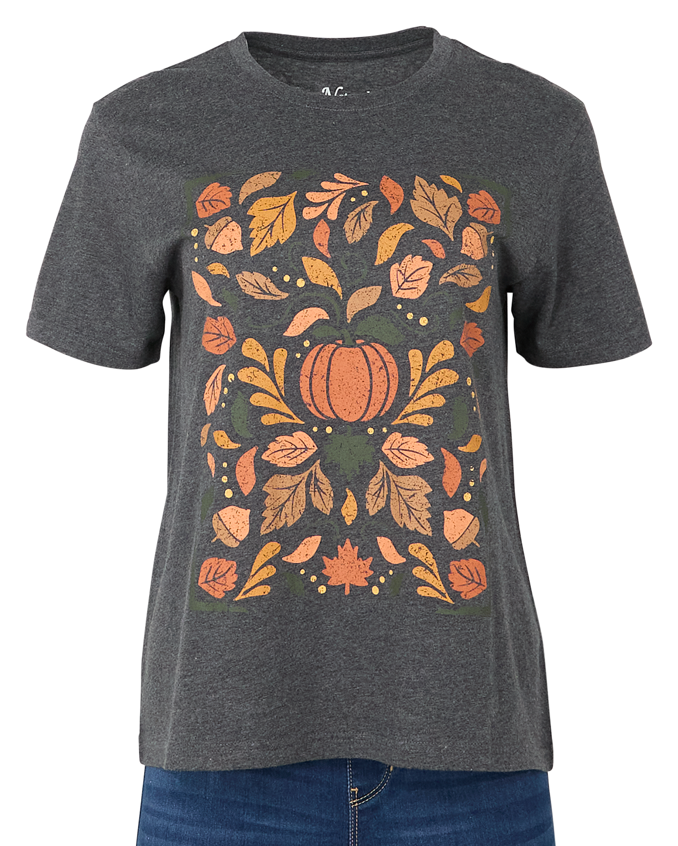 Image of Natural Reflections Pumpkin Short-Sleeve T-Shirt for Ladies - Moonless Heather