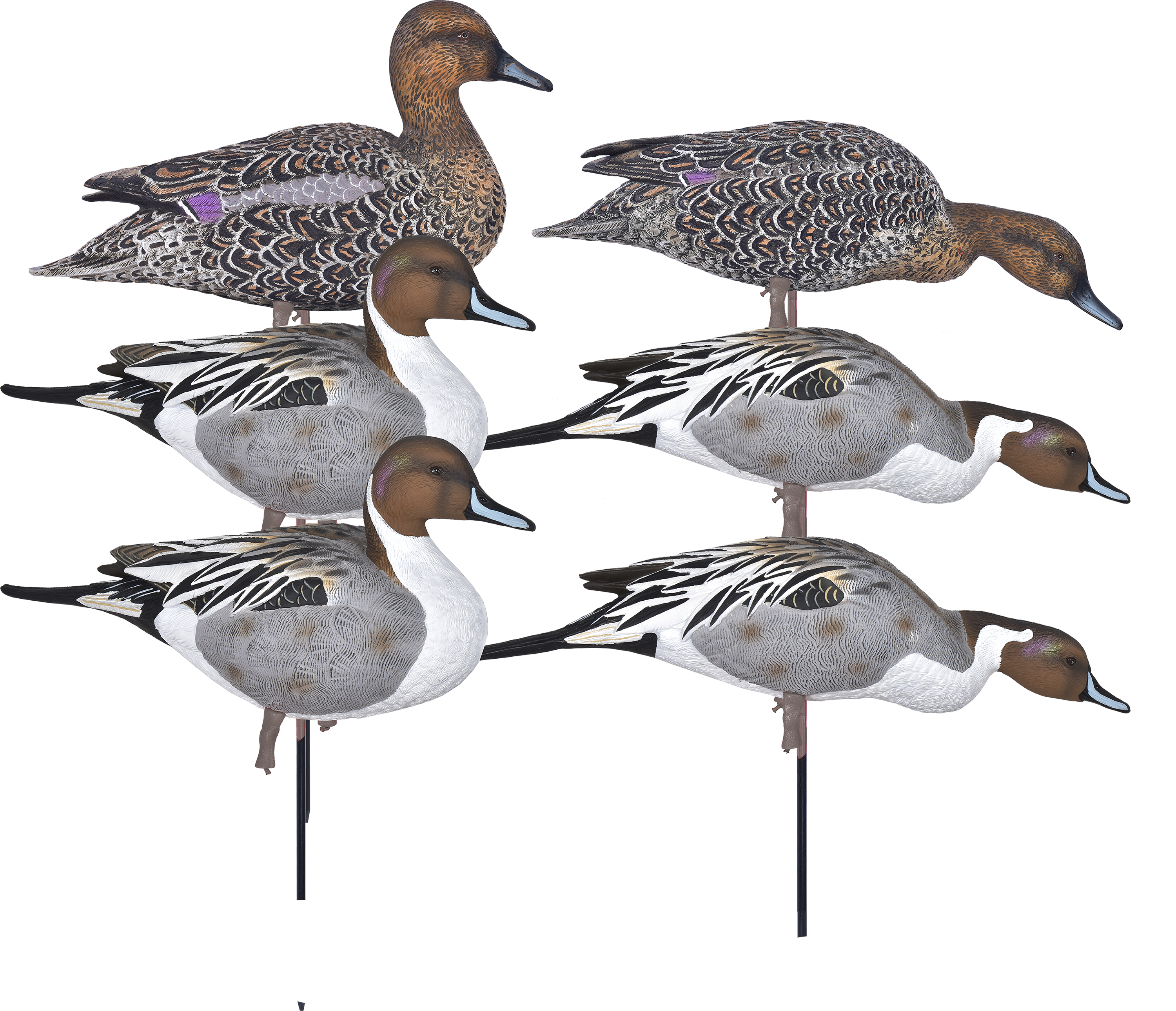 Image of GHG Pro Grade Full-Body Pintail Duck Decoys Harvester 6 Pack