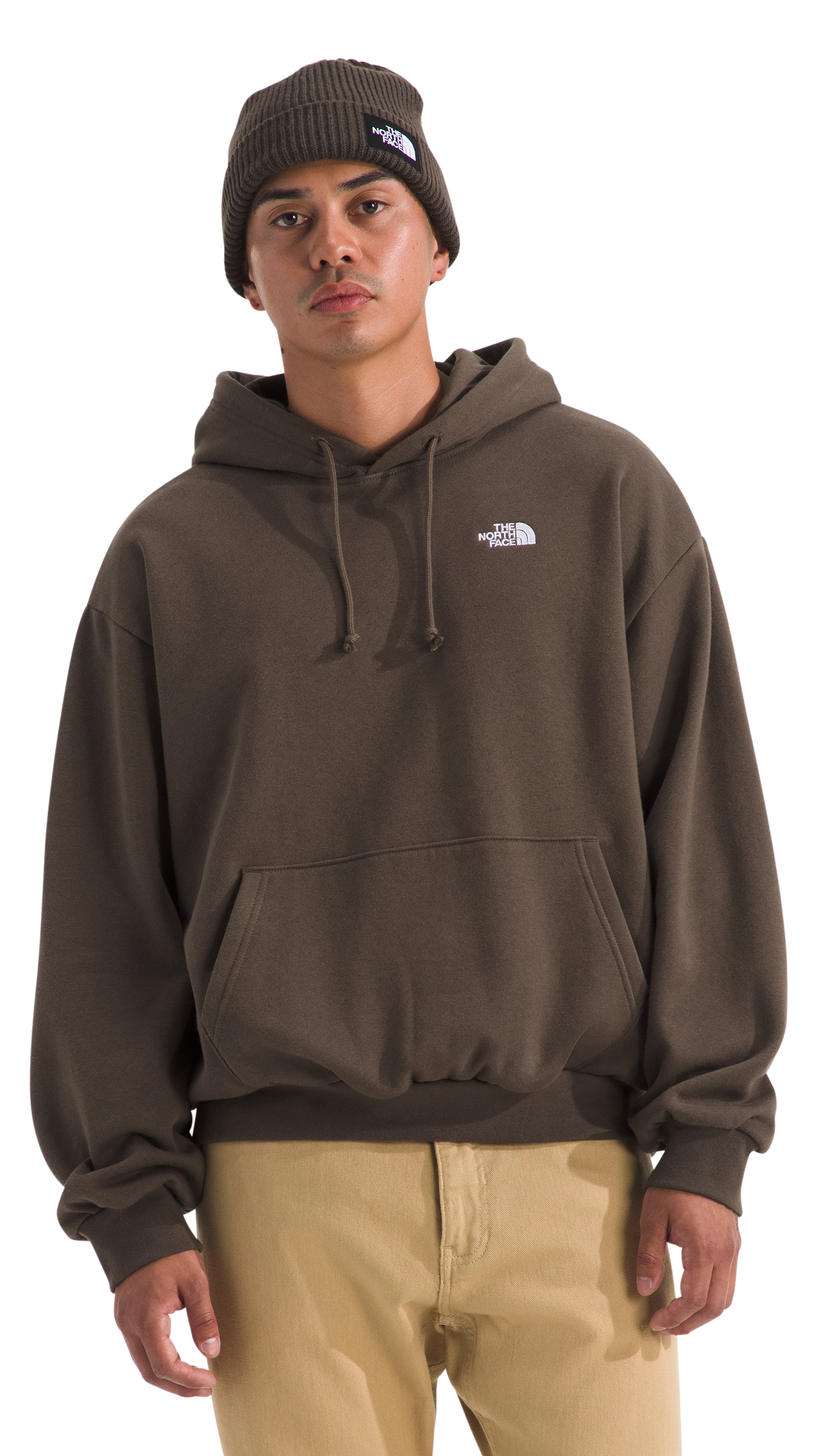 Image of The North Face Evolution Half Dome Oversized Hoodie - Smokey Brown